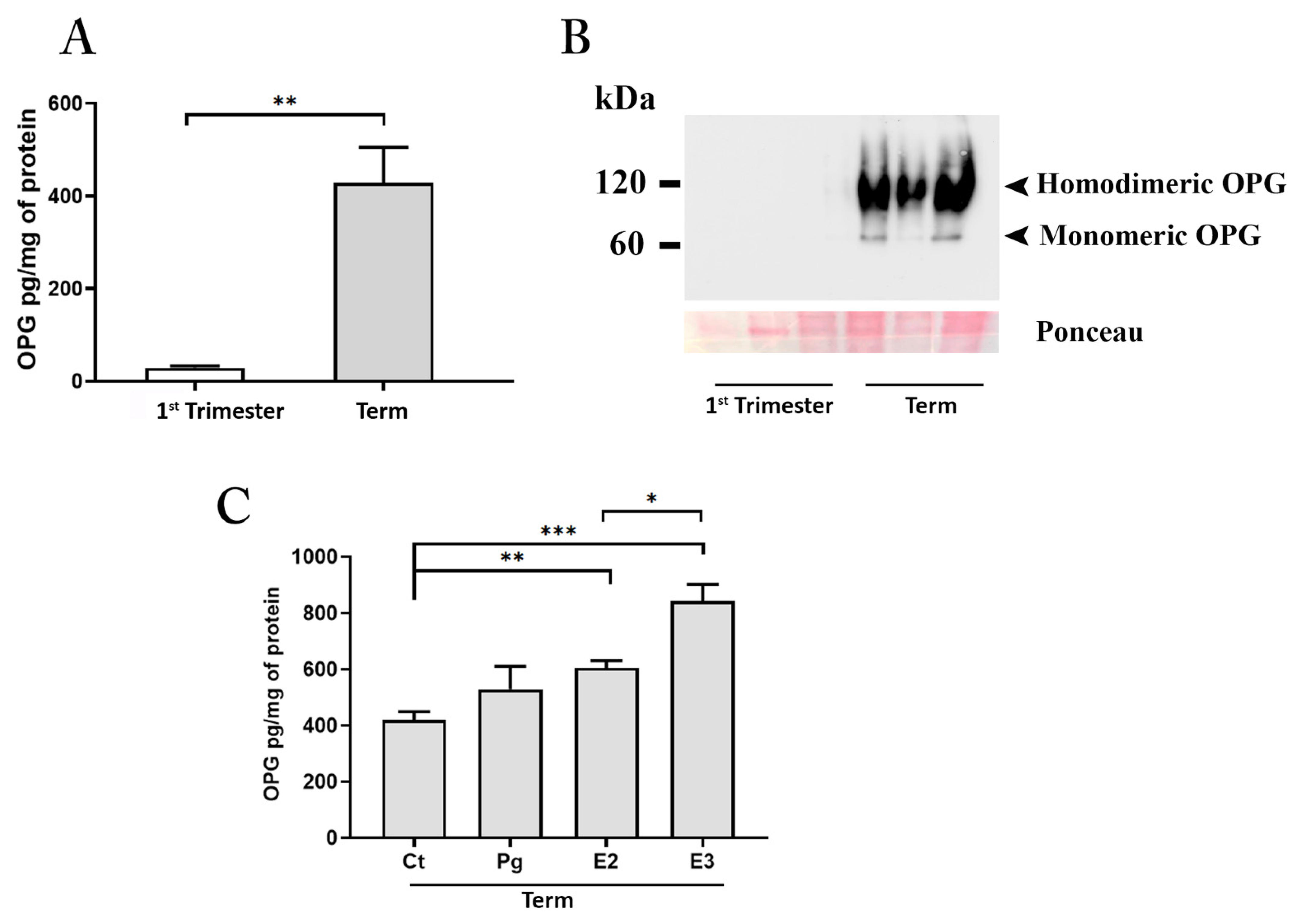 Cells 11 01357 g003 Cells 11 01357 g003