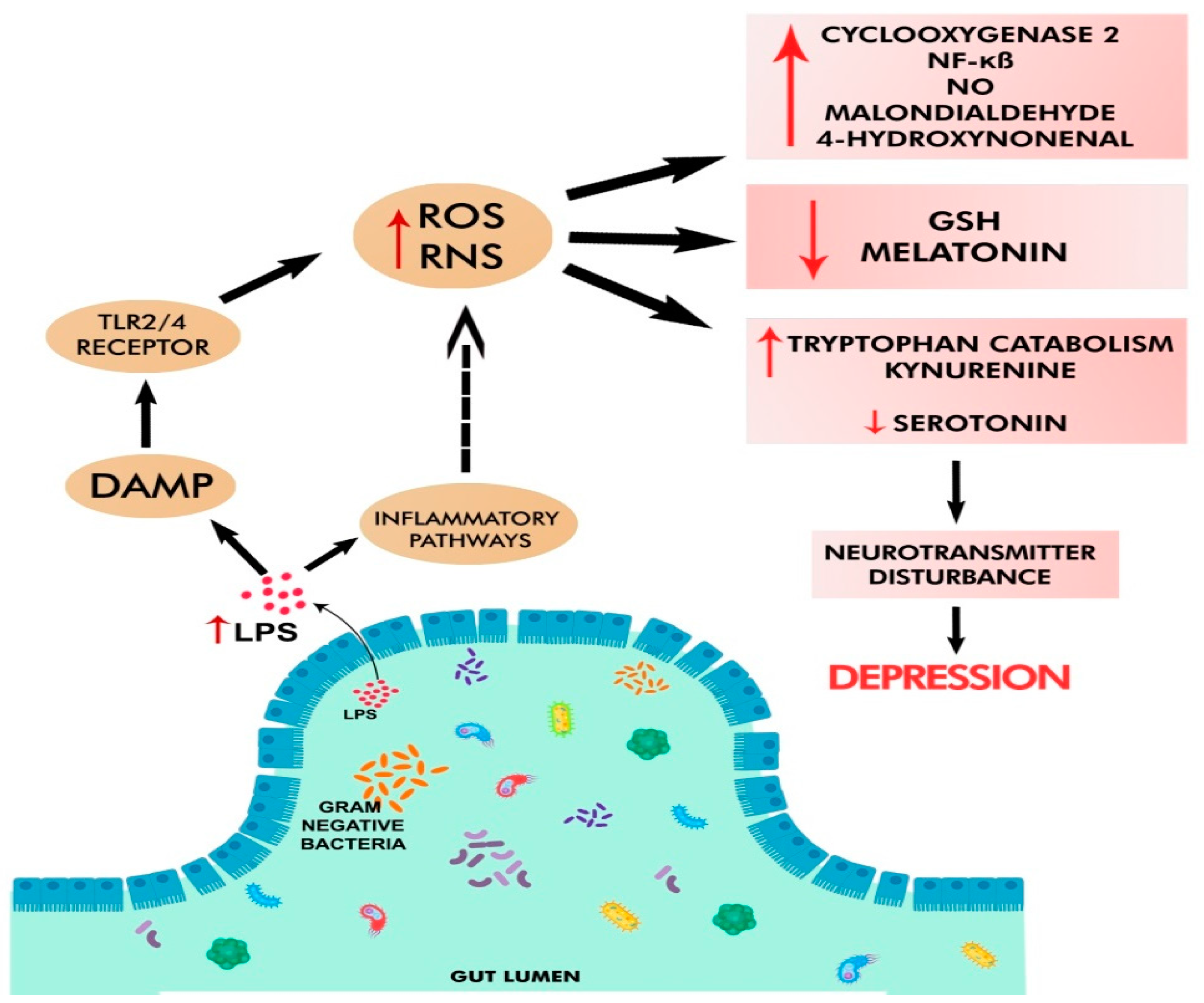 Cells 11 01362 g002 Cells 11 01362 g002