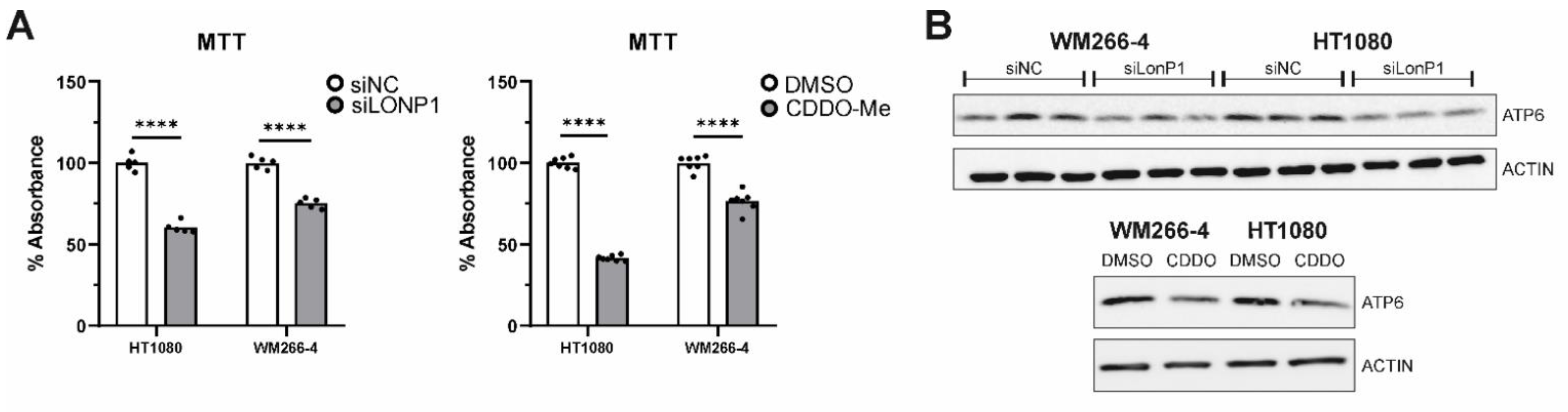 Cells 11 01363 g009a