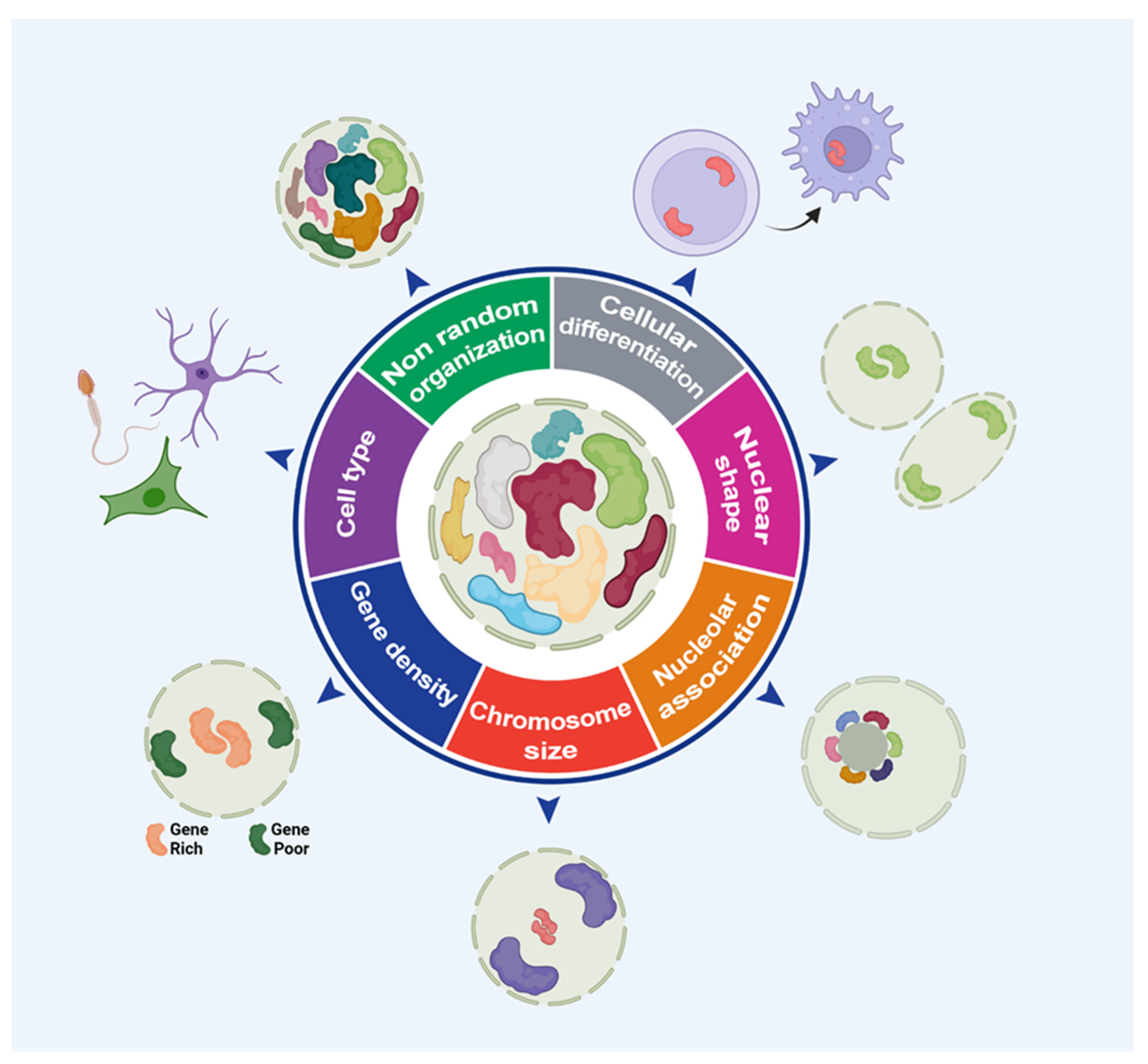 Cells 11 01368 g002 Cells 11 01368 g002