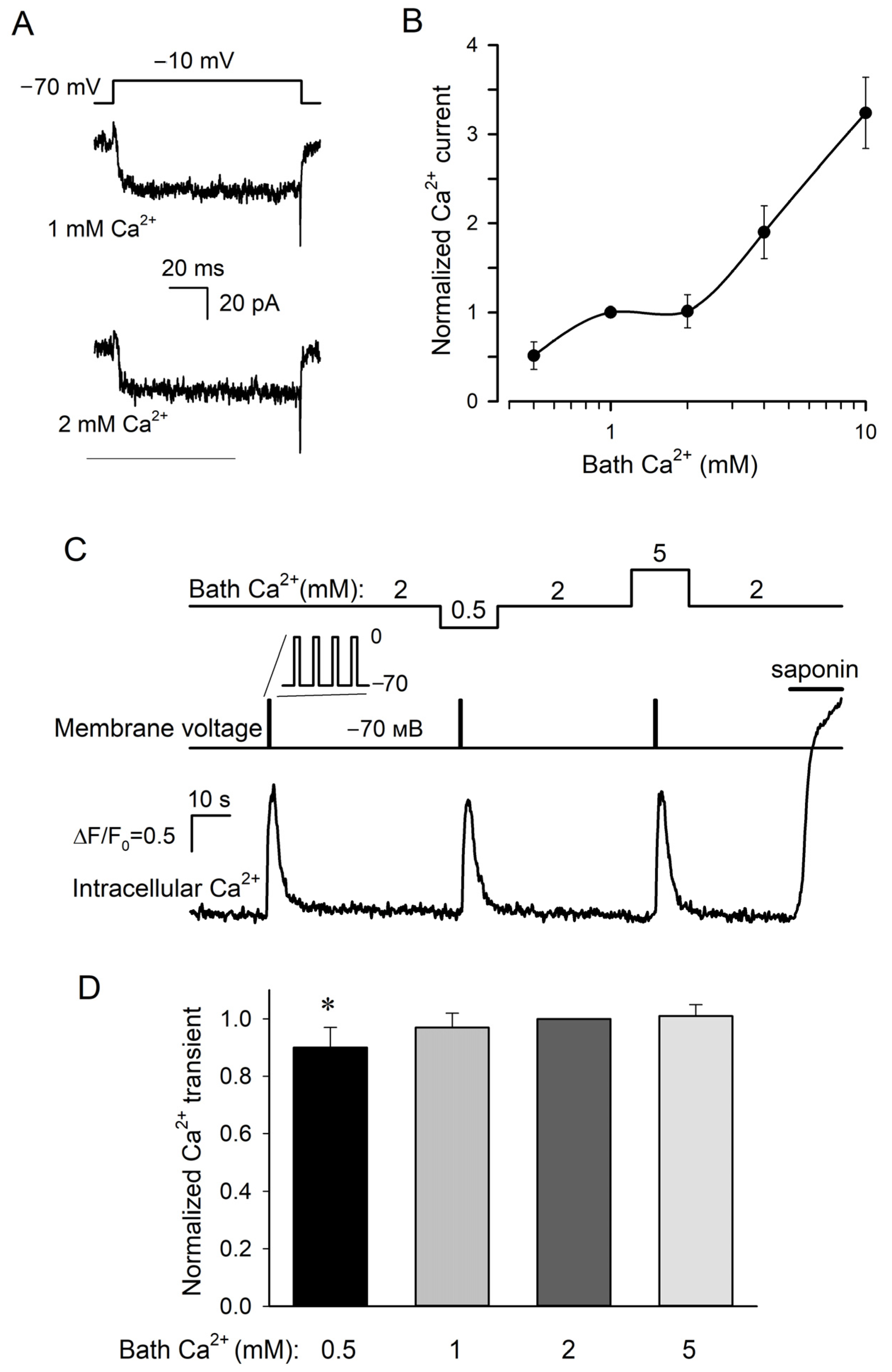 Cells 11 01369 g002 Cells 11 01369 g002
