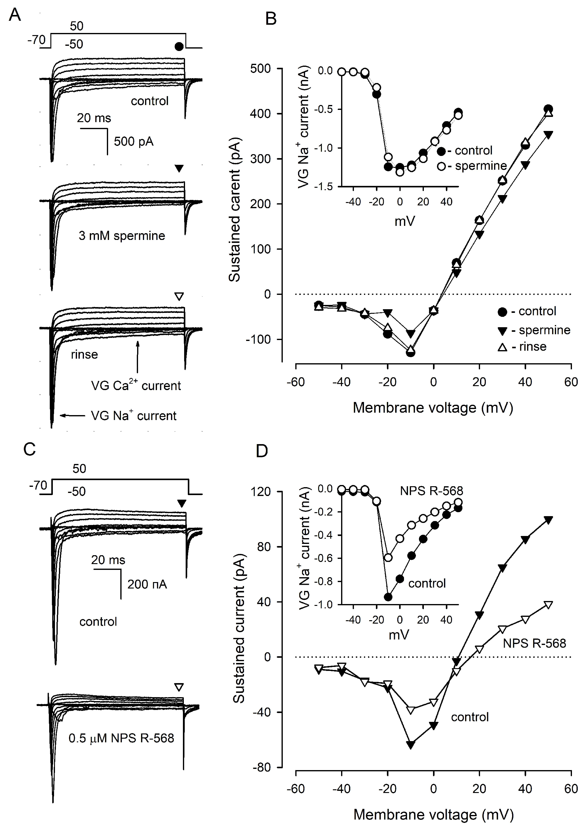 Cells 11 01369 g005 Cells 11 01369 g005