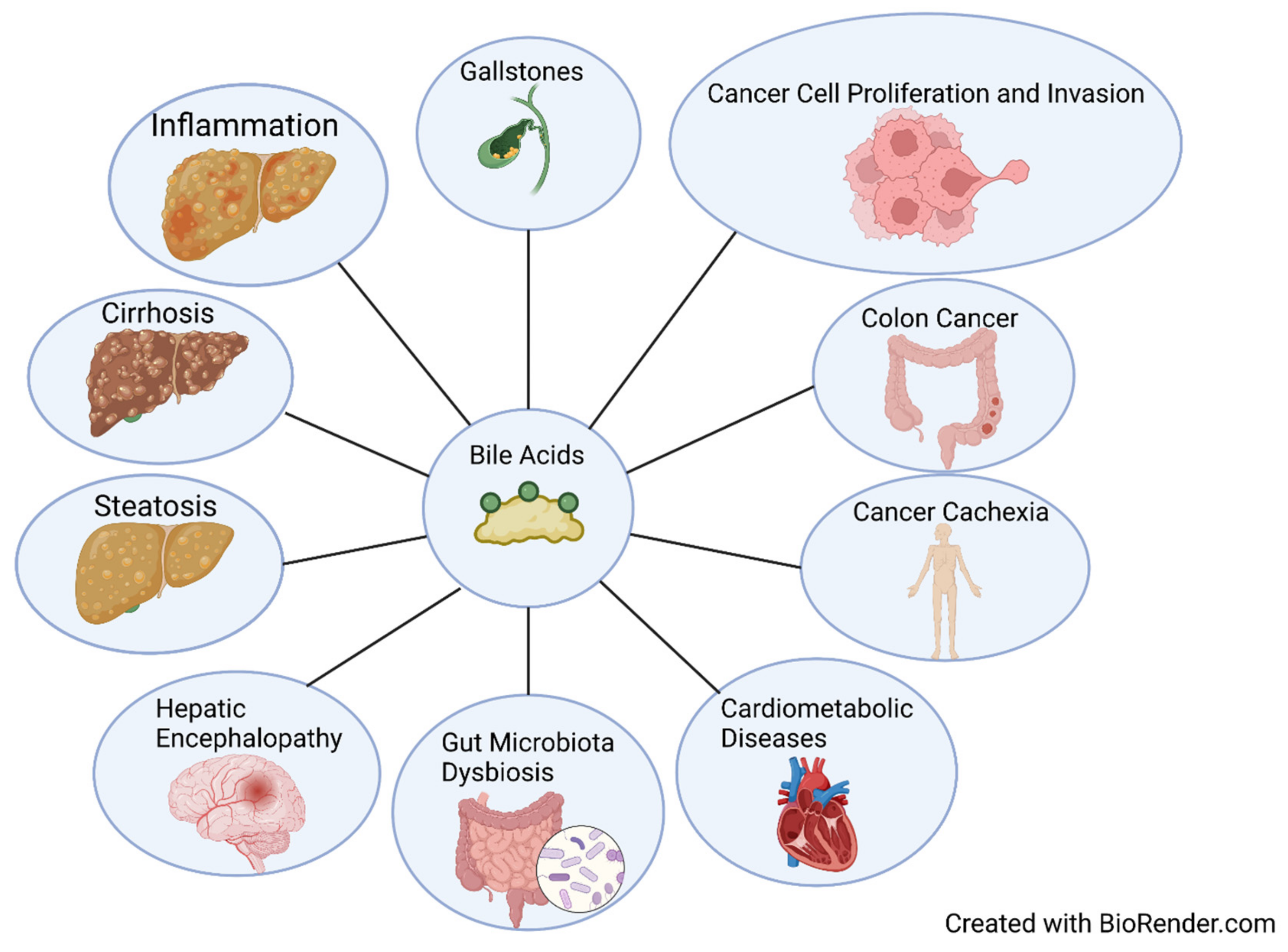 Cells 11 01374 g004 550