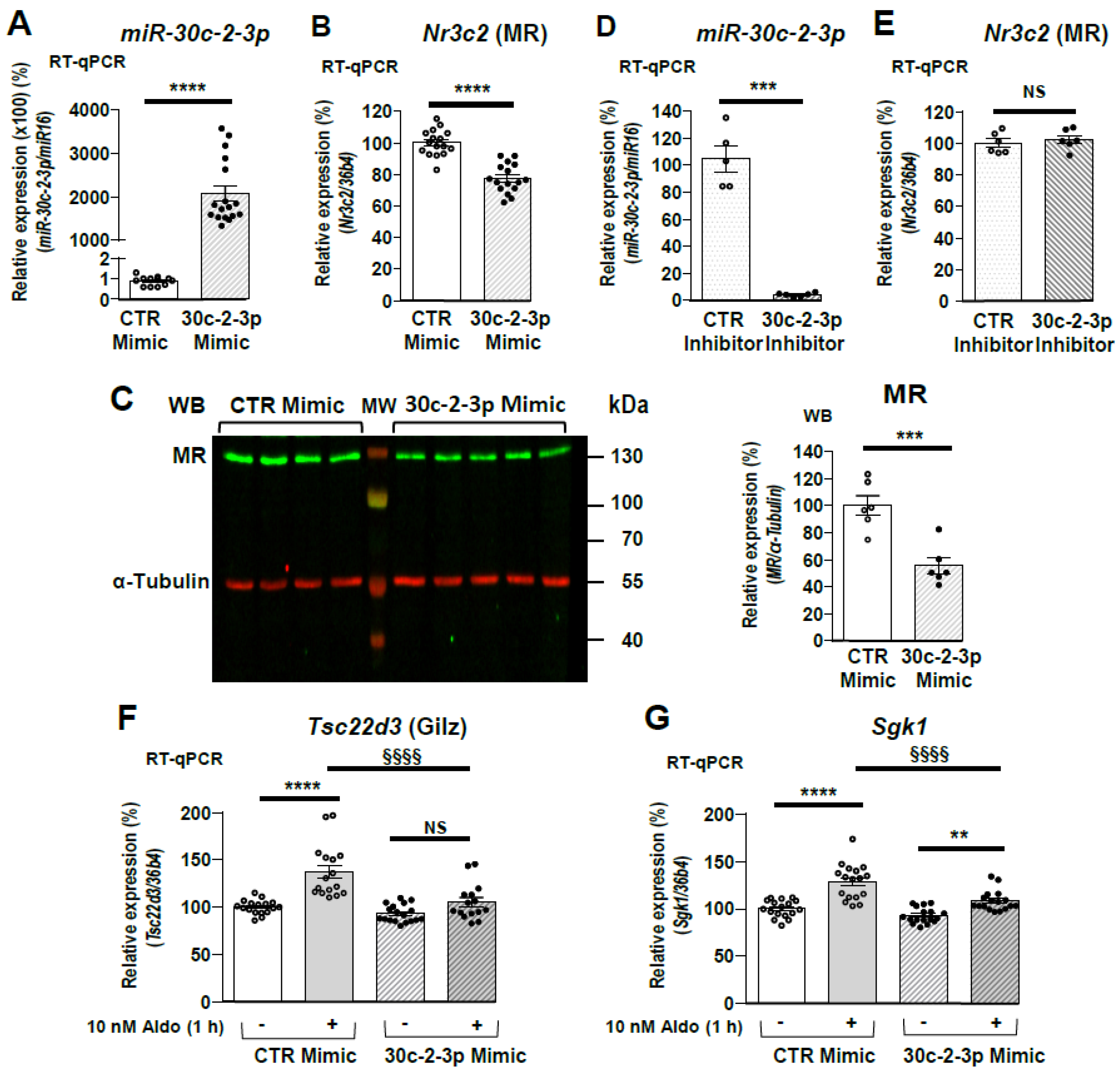 Cells 11 01377 g005 Cells 11 01377 g005