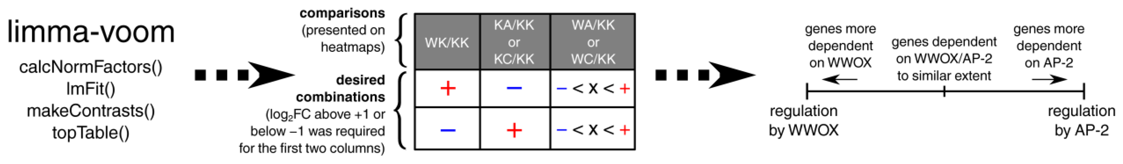 Cells 11 01382 g002 Cells 11 01382 g002