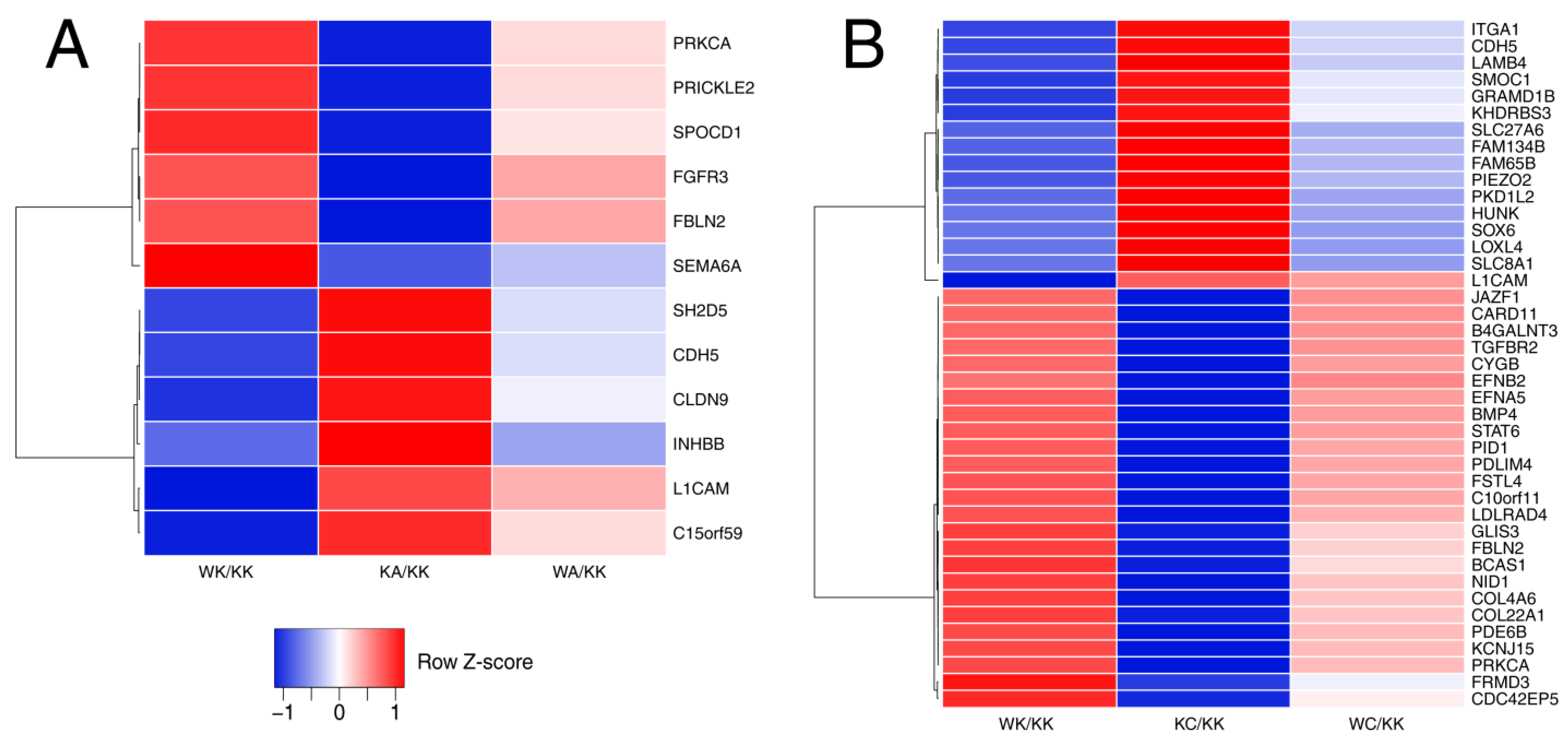 Cells 11 01382 g003 Cells 11 01382 g003
