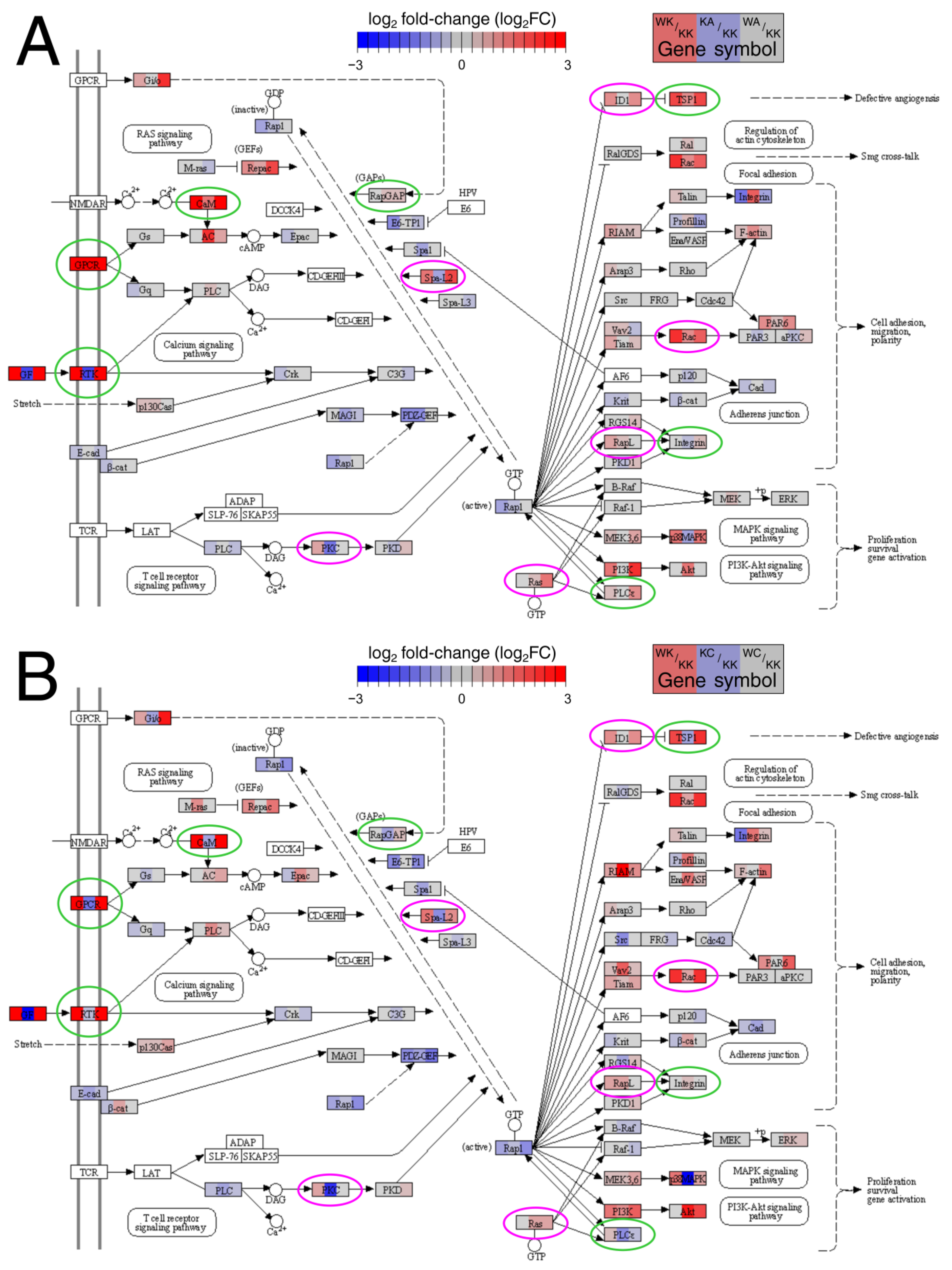 Cells 11 01382 g004 Cells 11 01382 g004