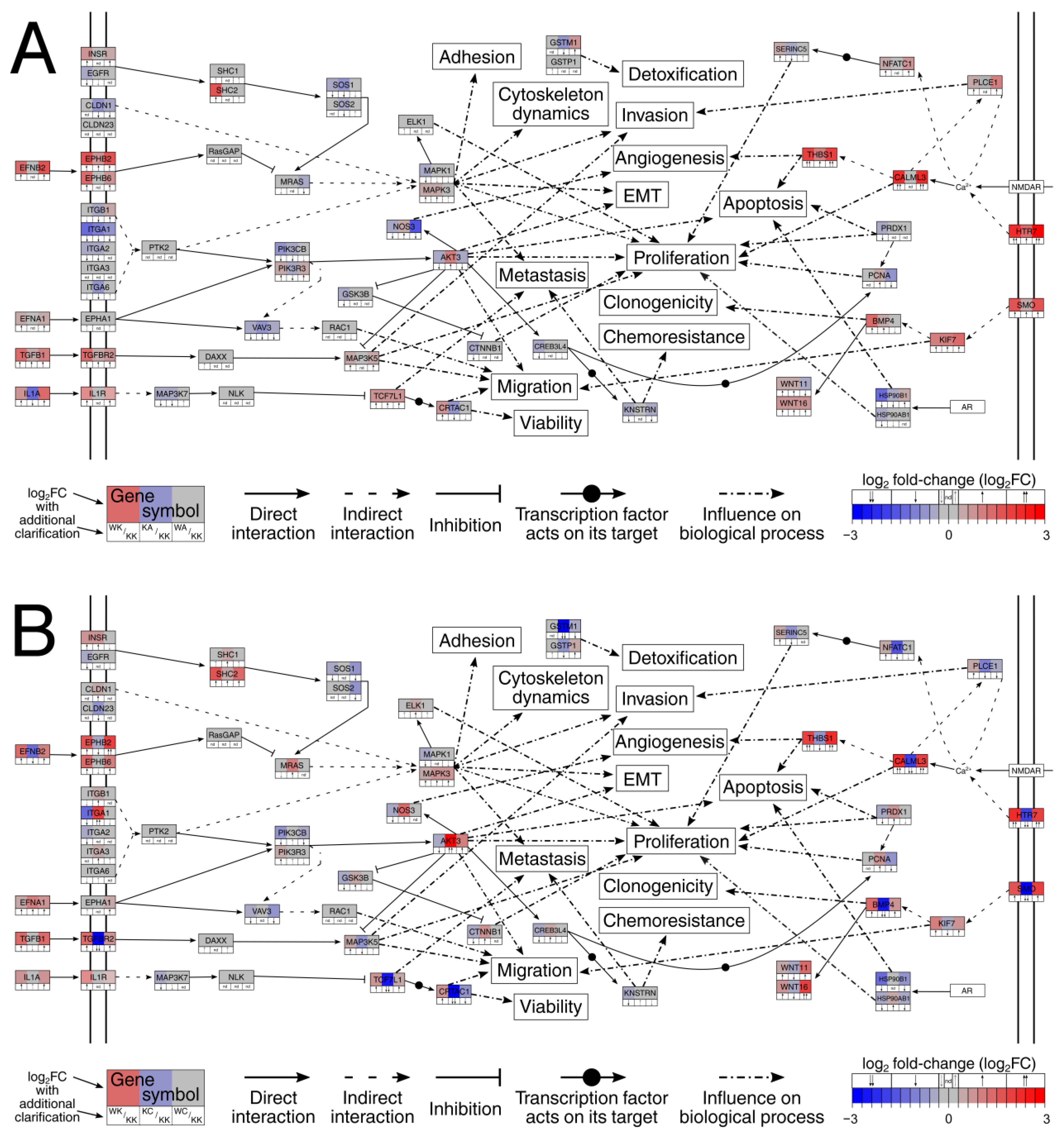 Cells 11 01382 g005 Cells 11 01382 g005