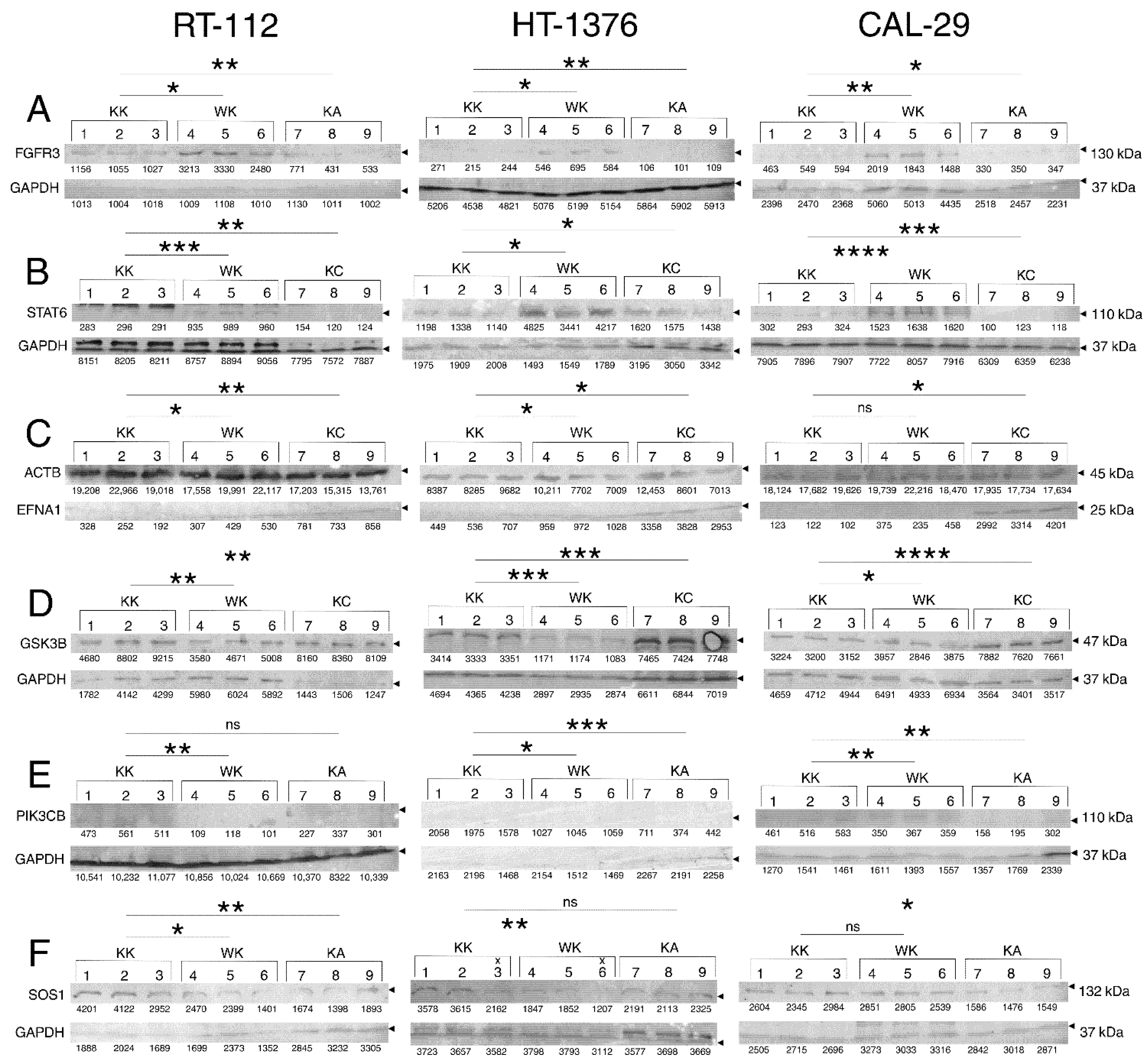 Cells 11 01382 g006 Cells 11 01382 g006