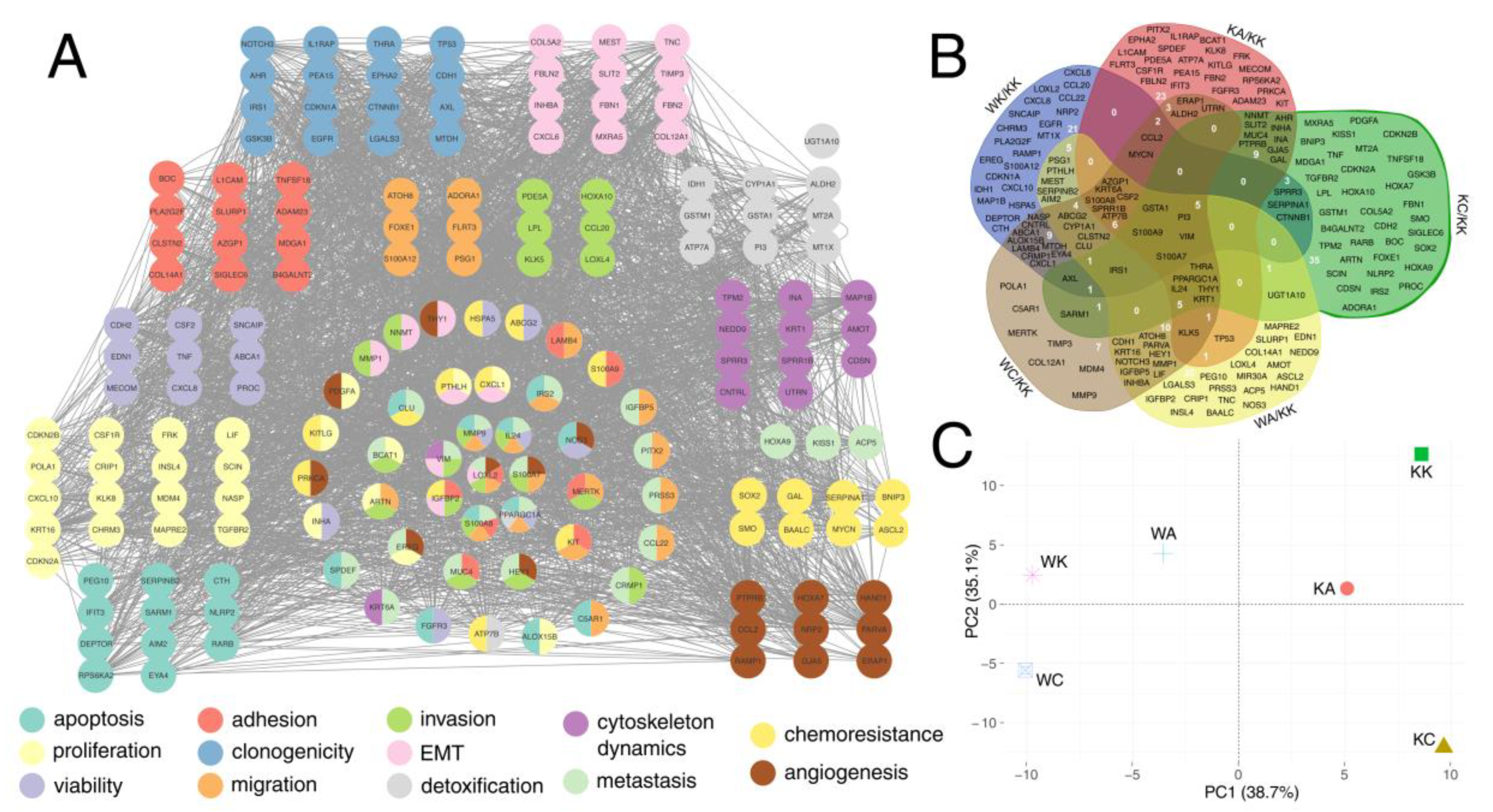 Cells 11 01382 g007 Cells 11 01382 g007