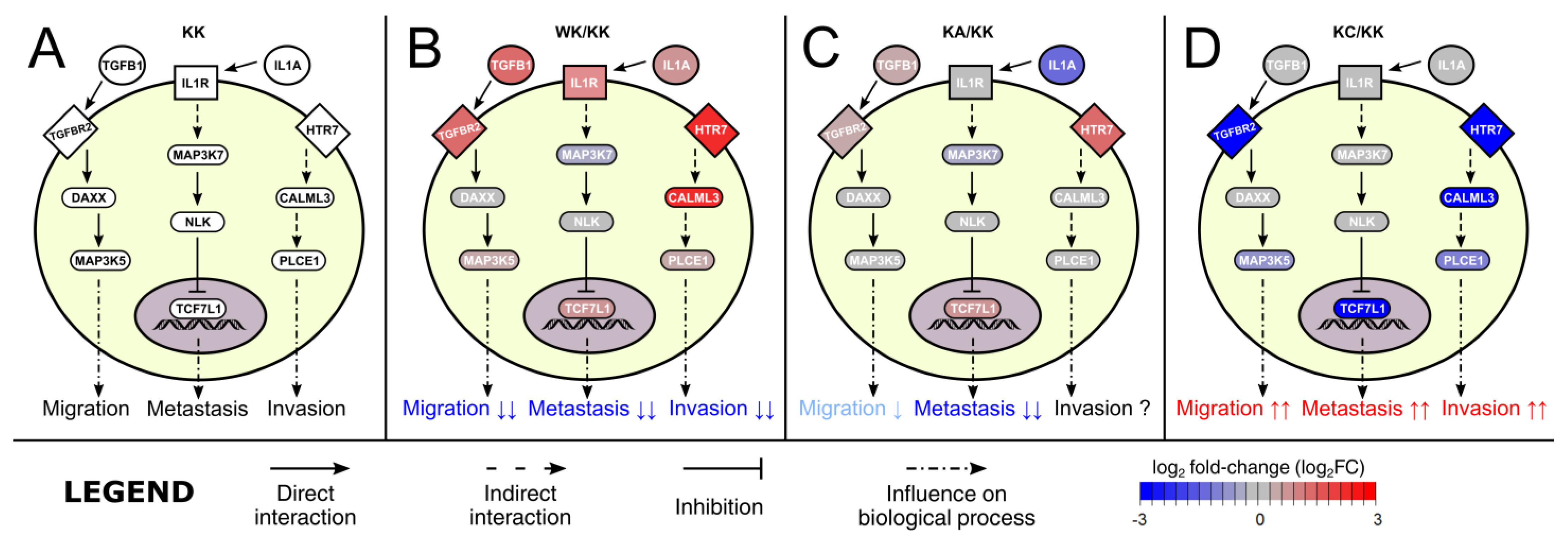 Cells 11 01382 g008 Cells 11 01382 g008
