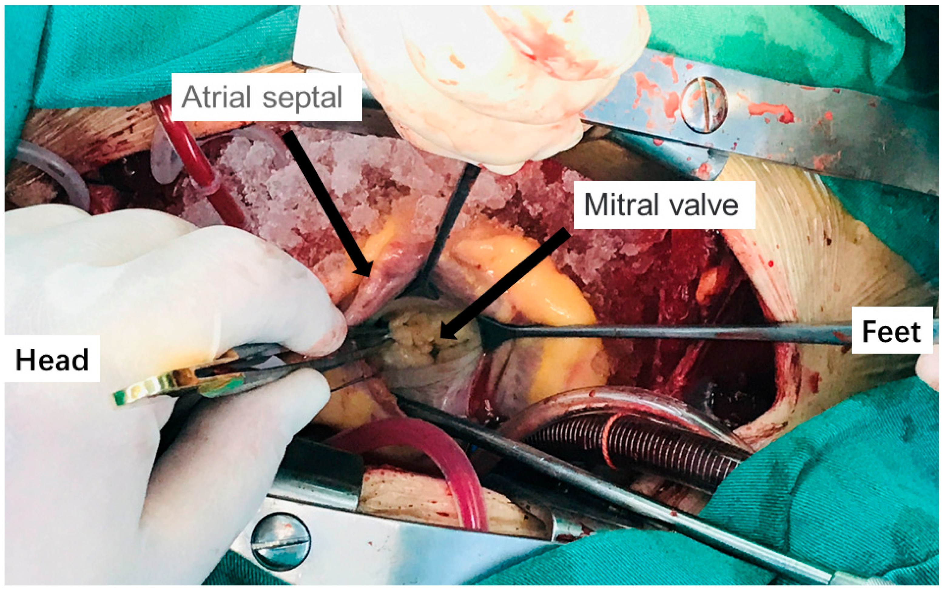 Cells 11 01383 g001 Cells 11 01383 g001