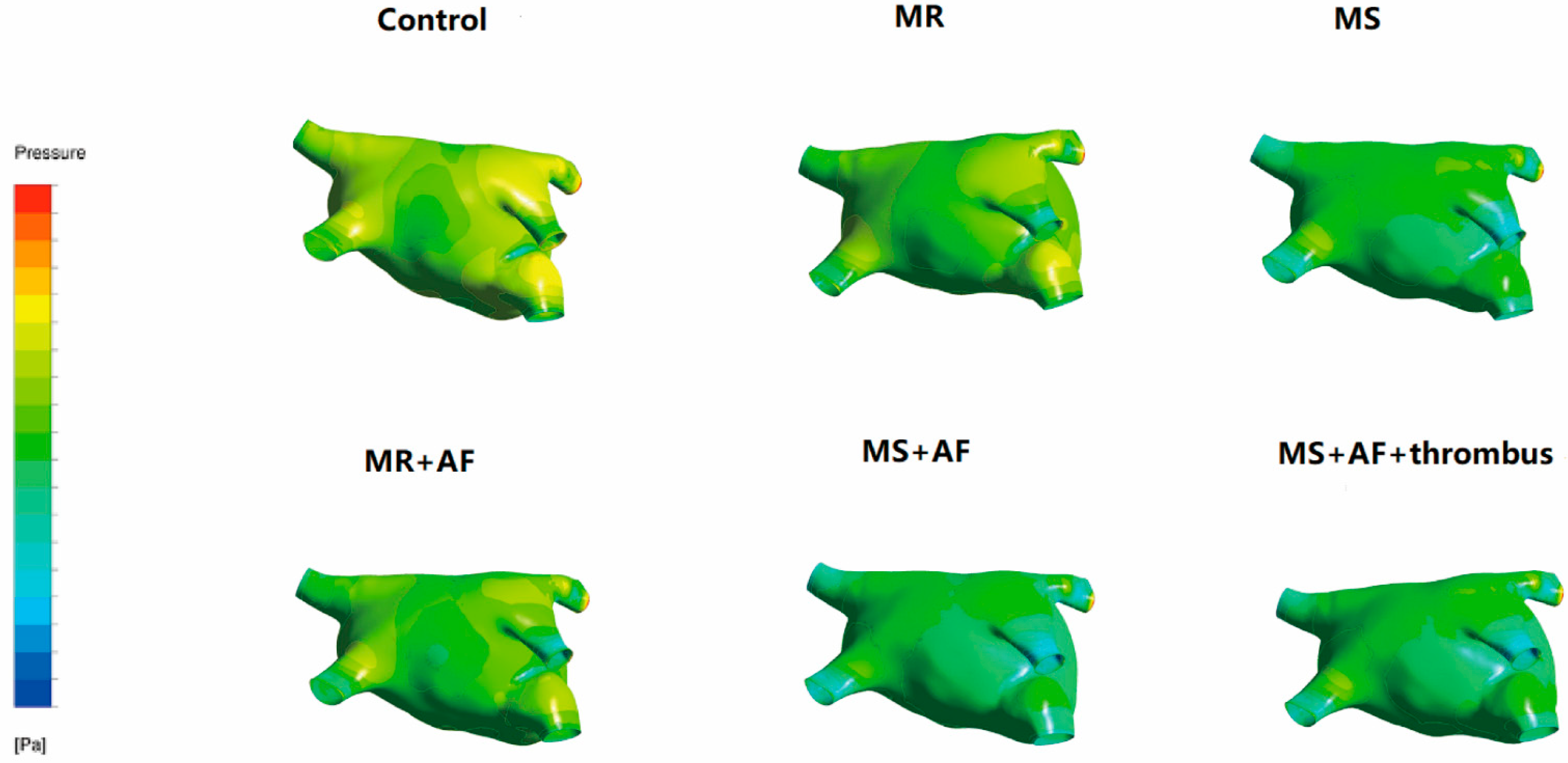 Cells 11 01383 g002 Cells 11 01383 g002
