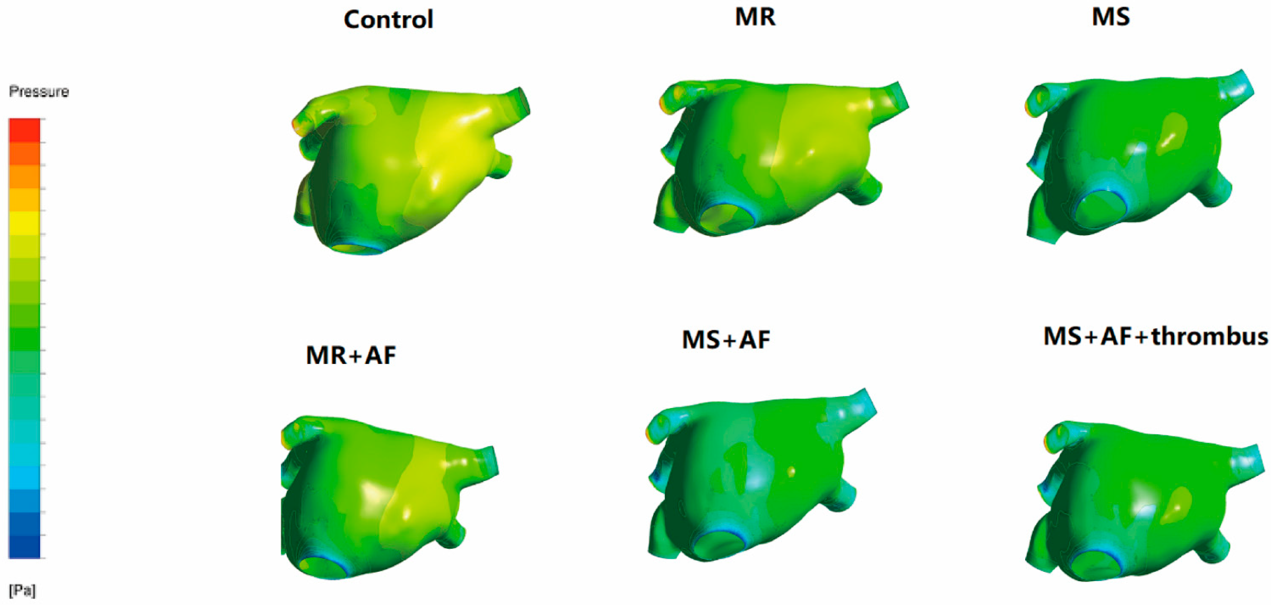 Cells 11 01383 g003 Cells 11 01383 g003