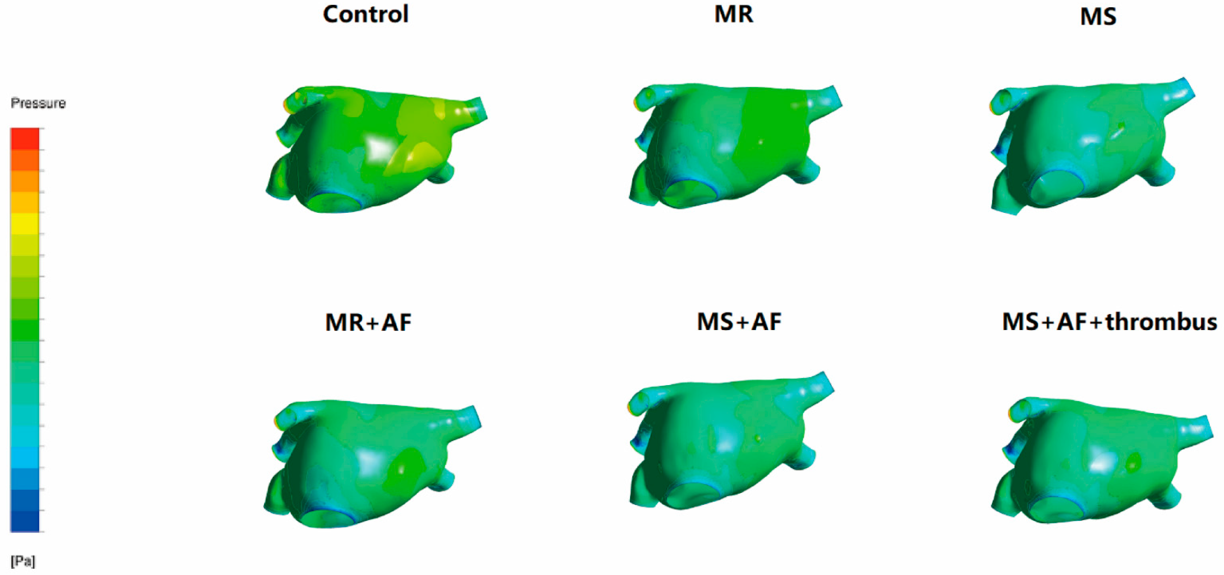 Cells 11 01383 g005 Cells 11 01383 g005