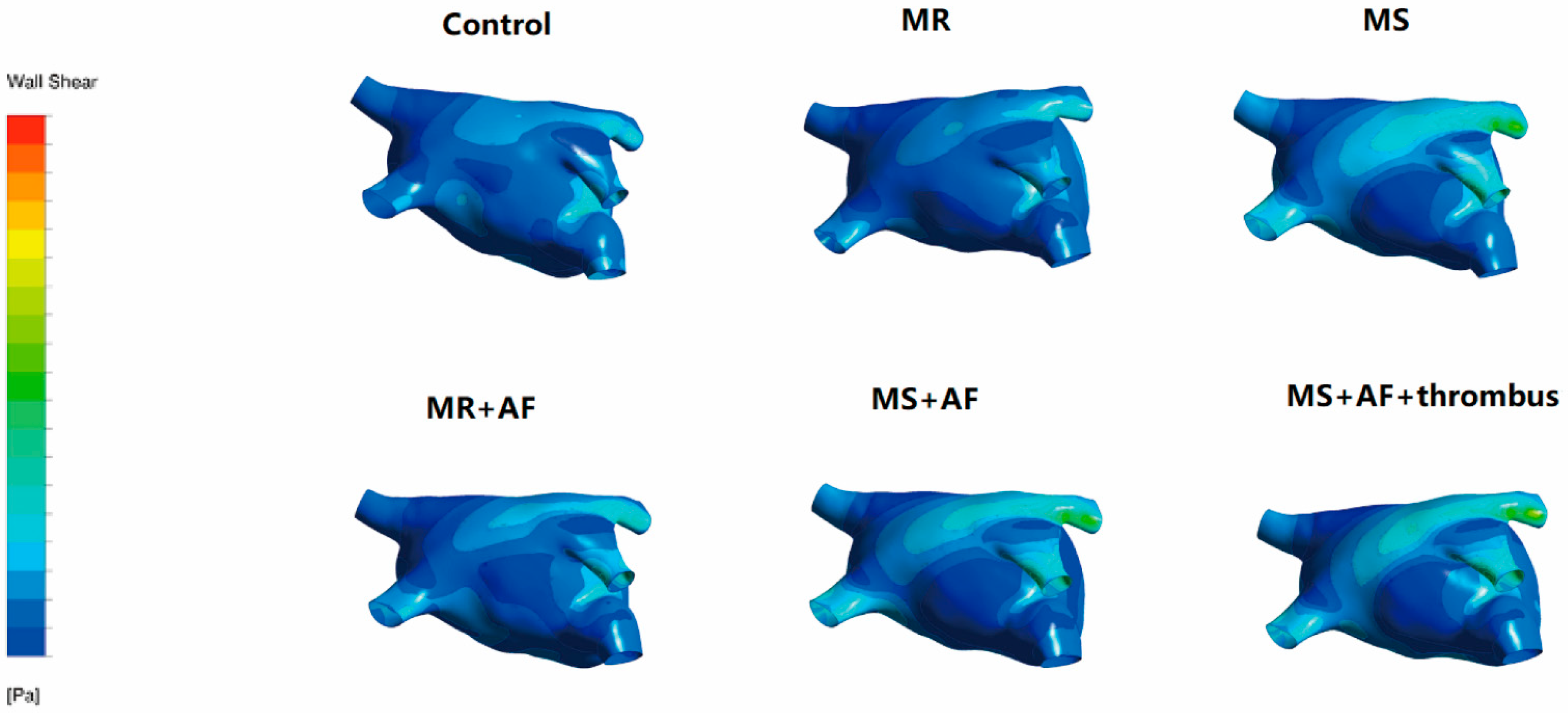 Cells 11 01383 g006 Cells 11 01383 g006