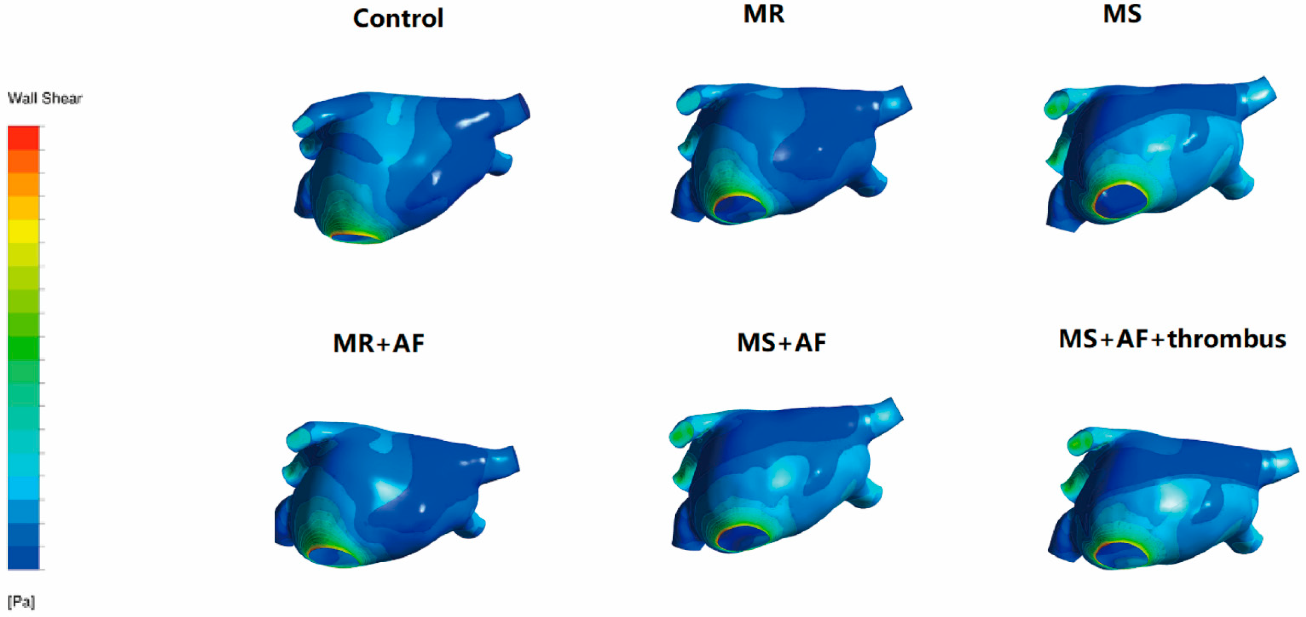 Cells 11 01383 g007 Cells 11 01383 g007