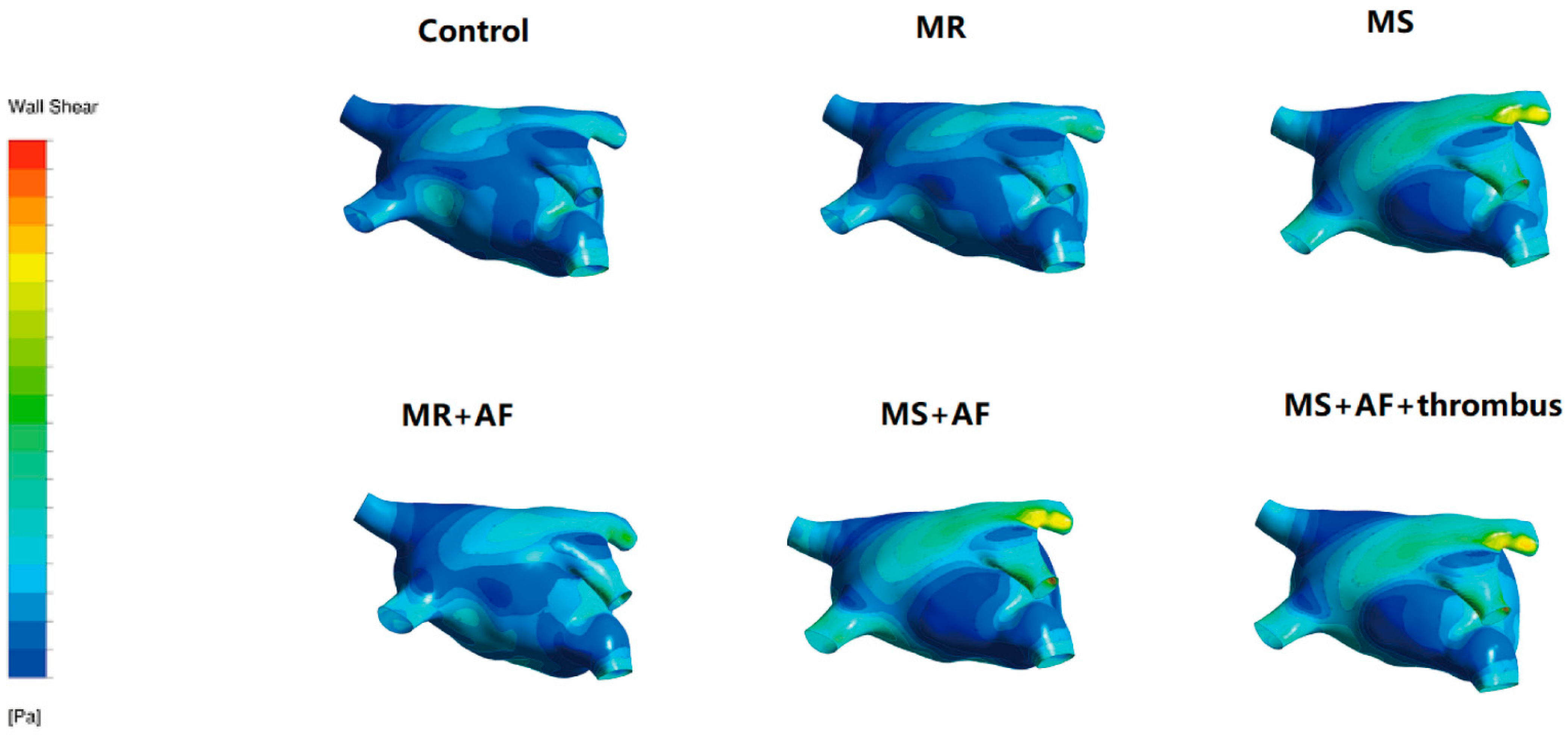 Cells 11 01383 g008 Cells 11 01383 g008