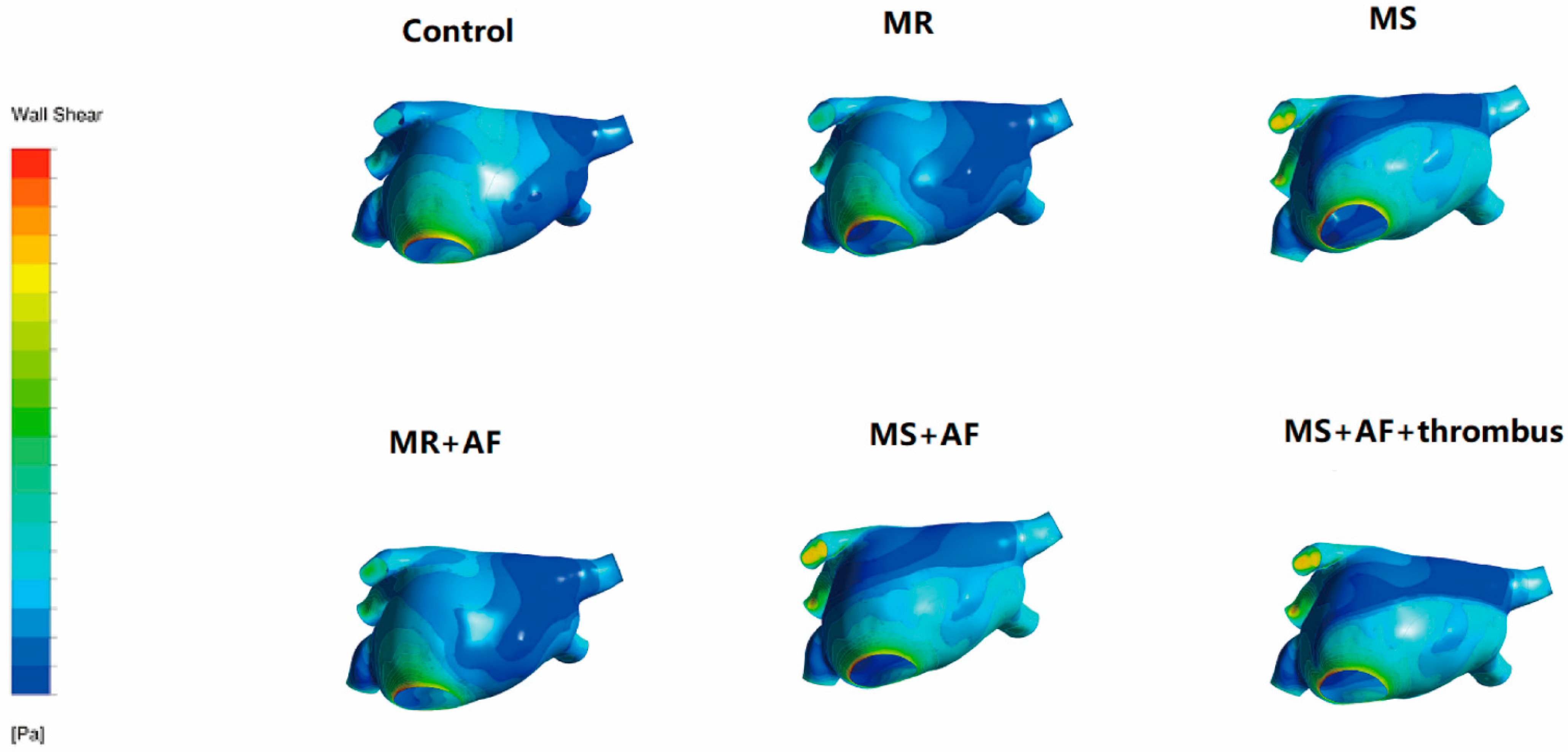 Cells 11 01383 g009 Cells 11 01383 g009