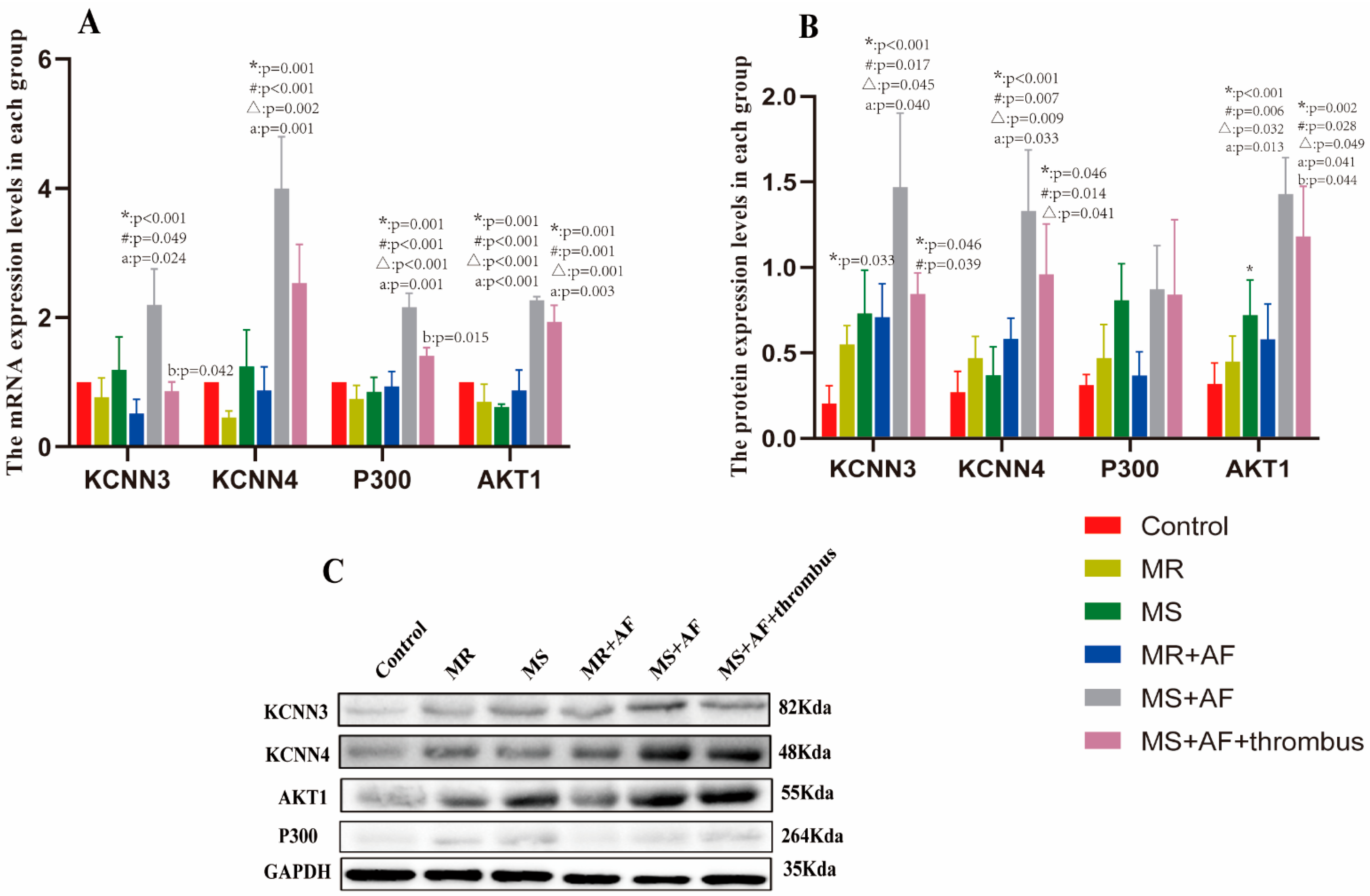 Cells 11 01383 g010 Cells 11 01383 g010