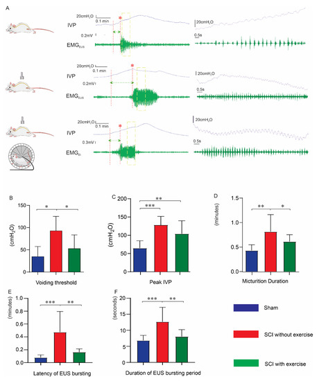 Locomotor Exercise Enhances Supraspinal Control of Lower