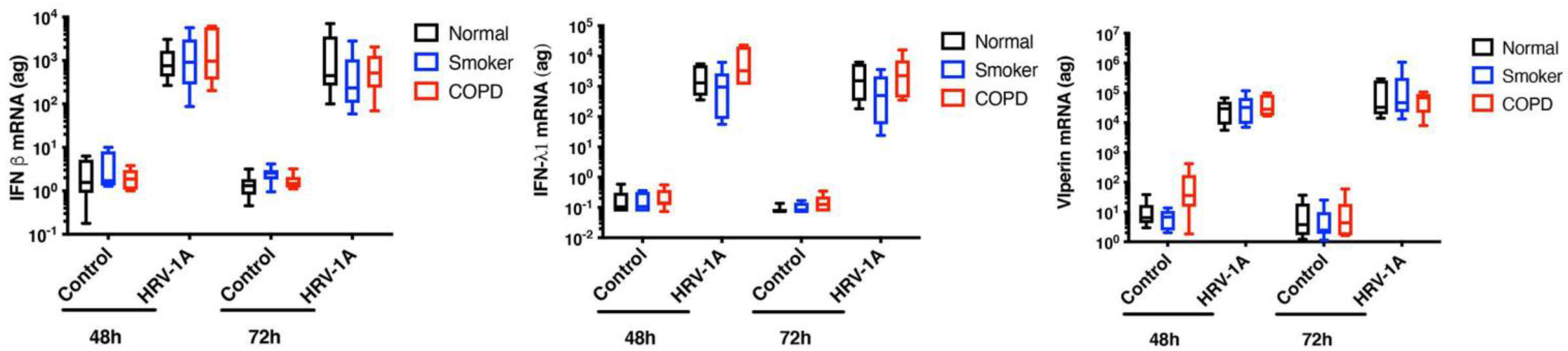 Cells 11 01416 g002 Cells 11 01416 g002