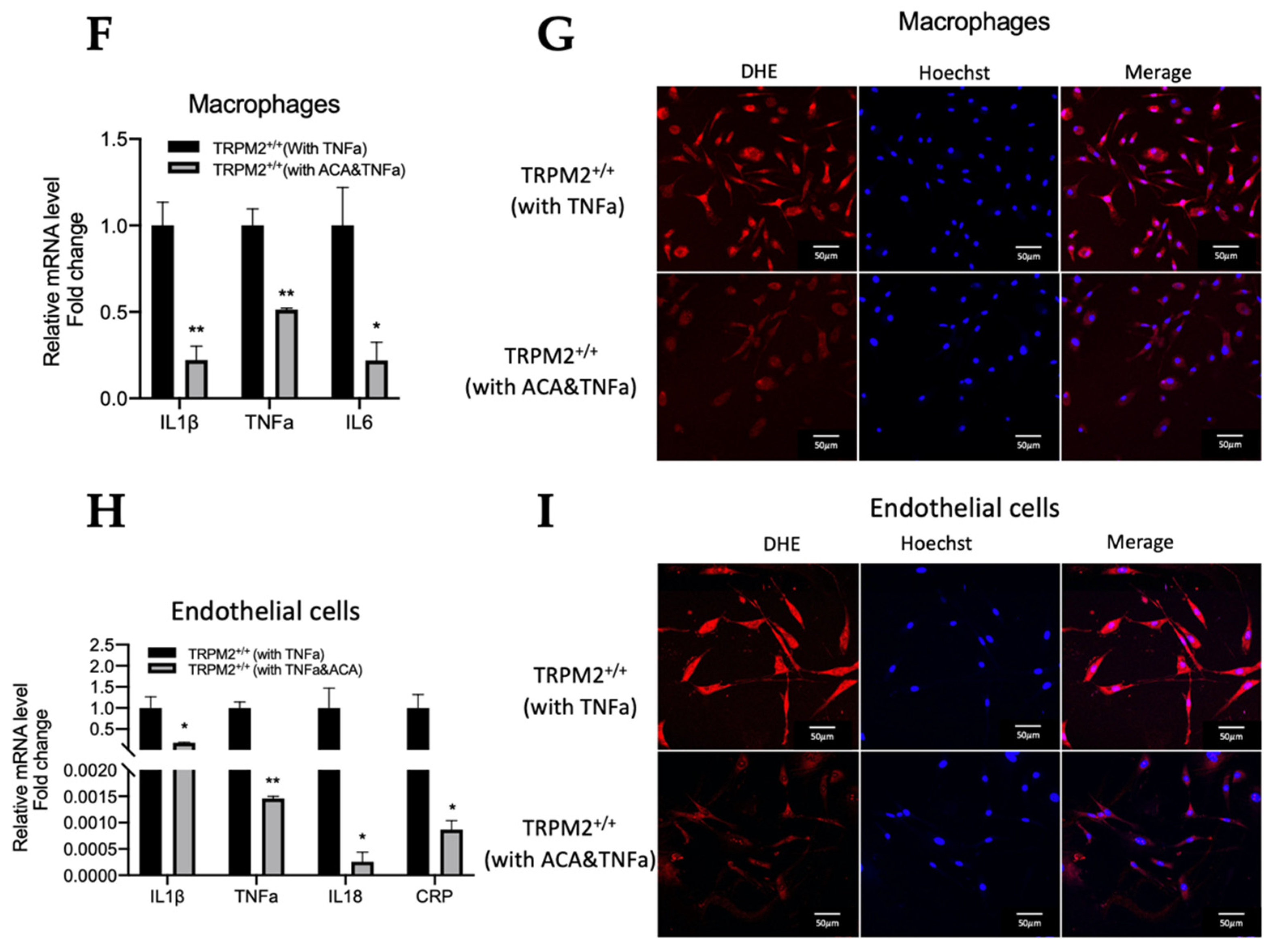 Cells 11 01423 g007b
