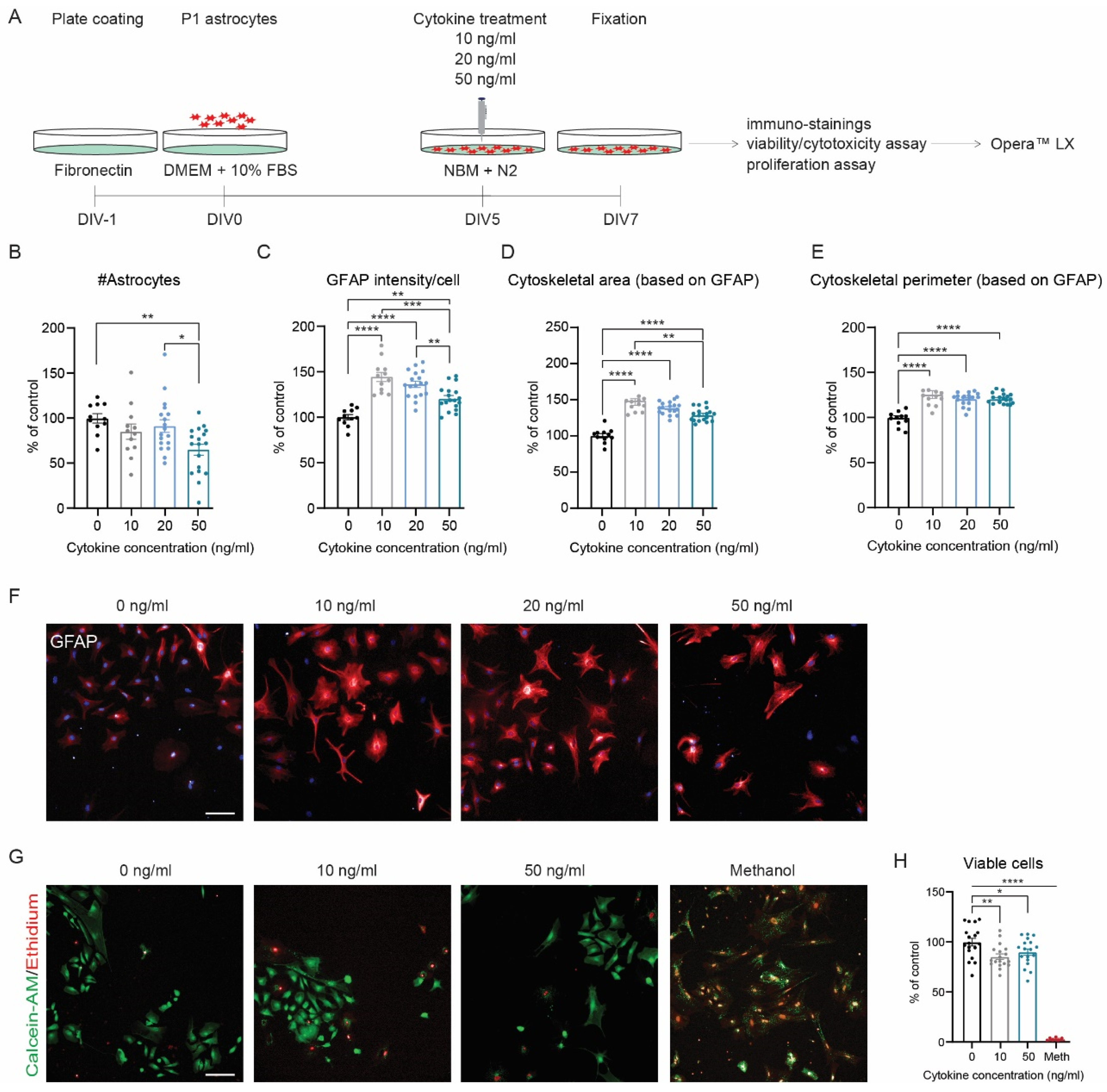 Cells 11 01428 g004 550