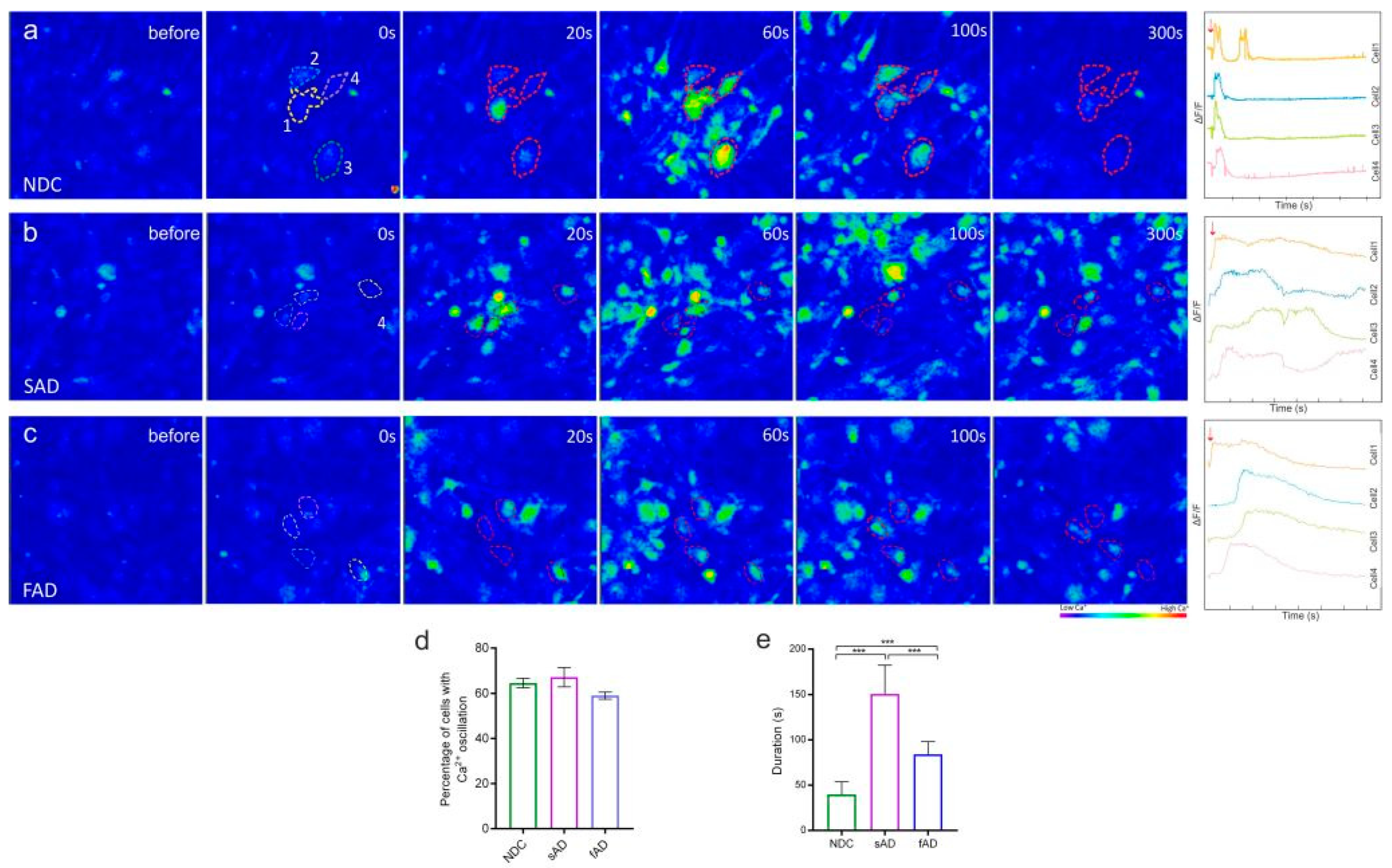 Cells 11 01429 g002 Cells 11 01429 g002