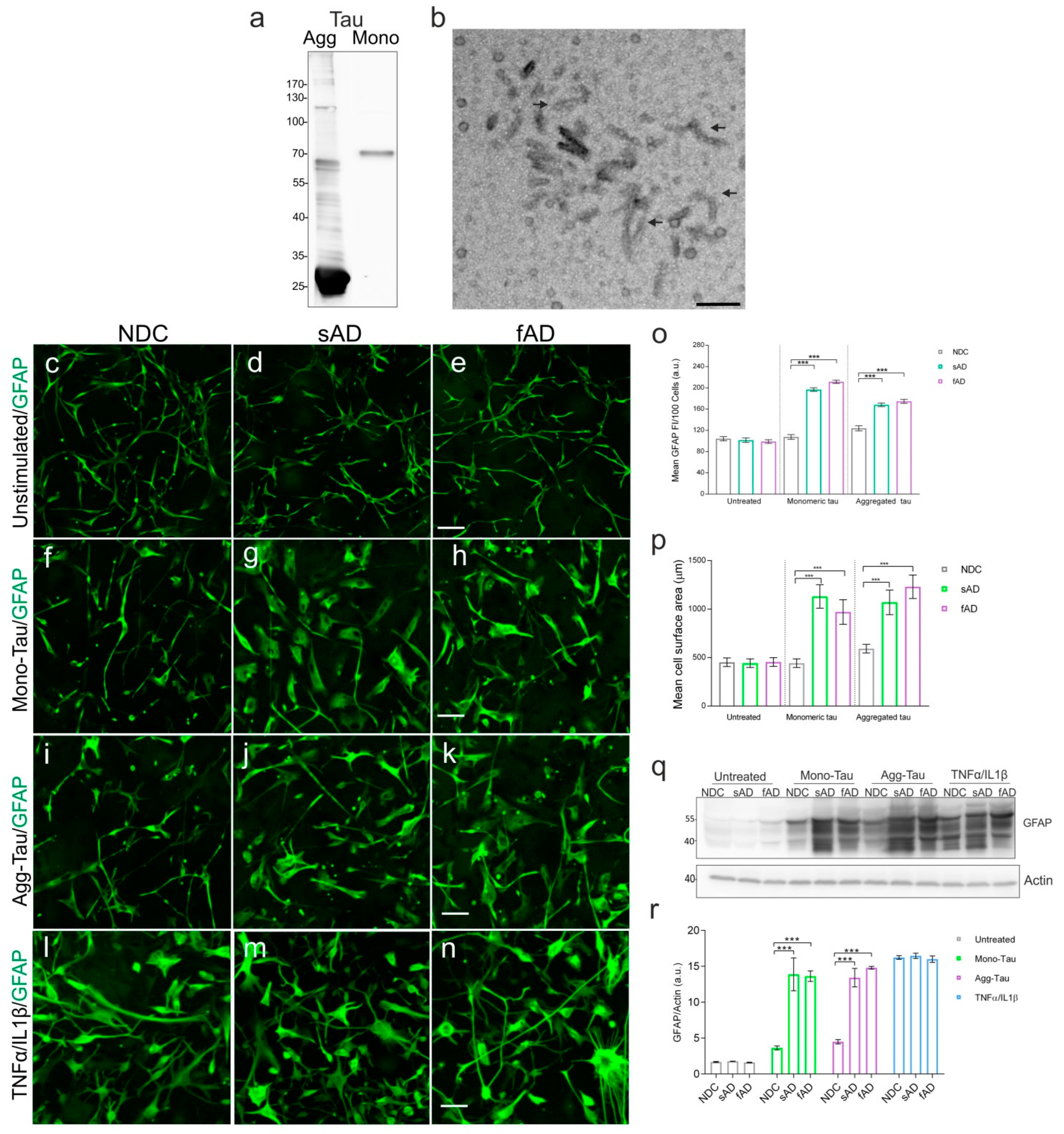 Cells 11 01429 g003 Cells 11 01429 g003