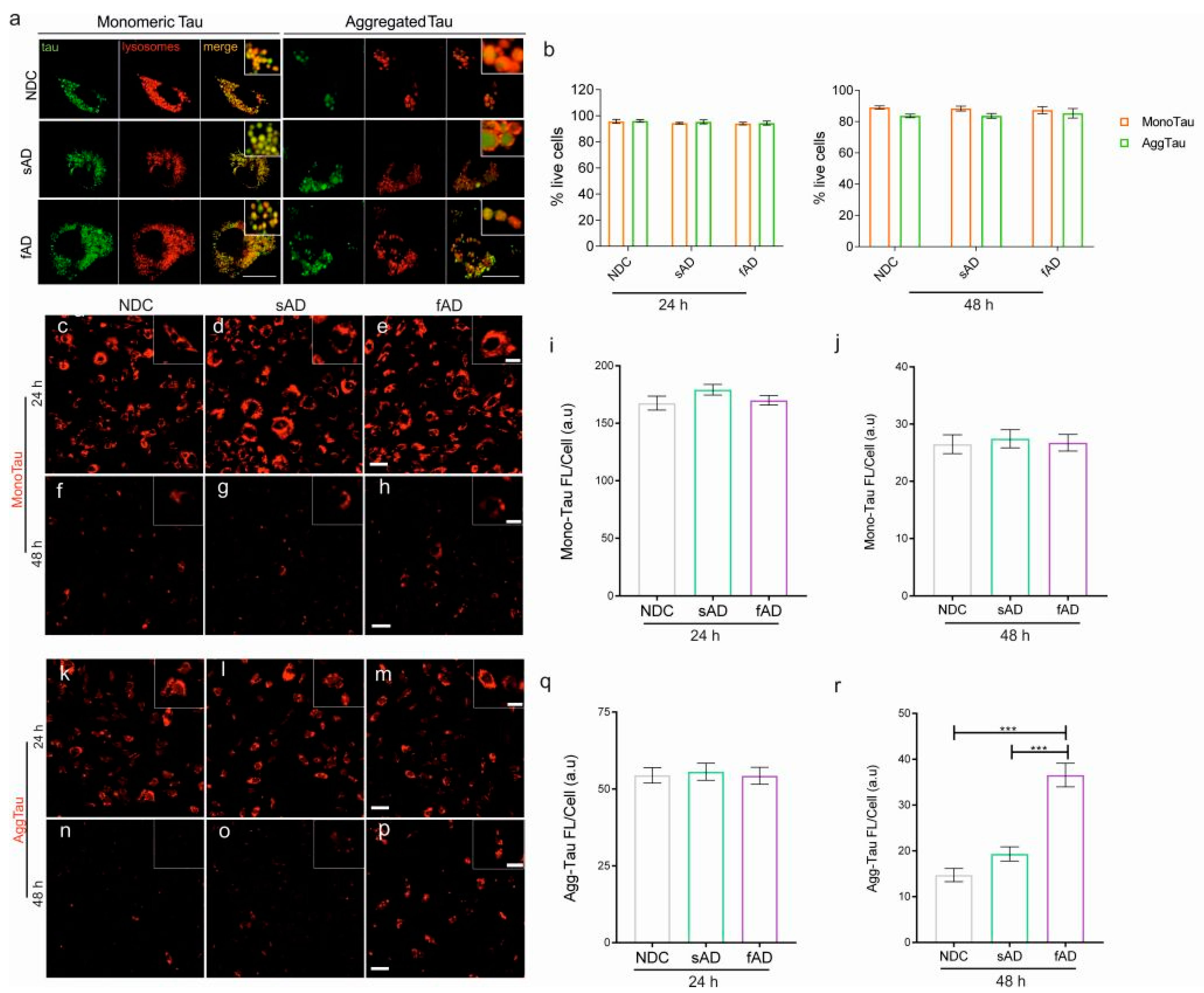 Cells 11 01429 g004 Cells 11 01429 g004