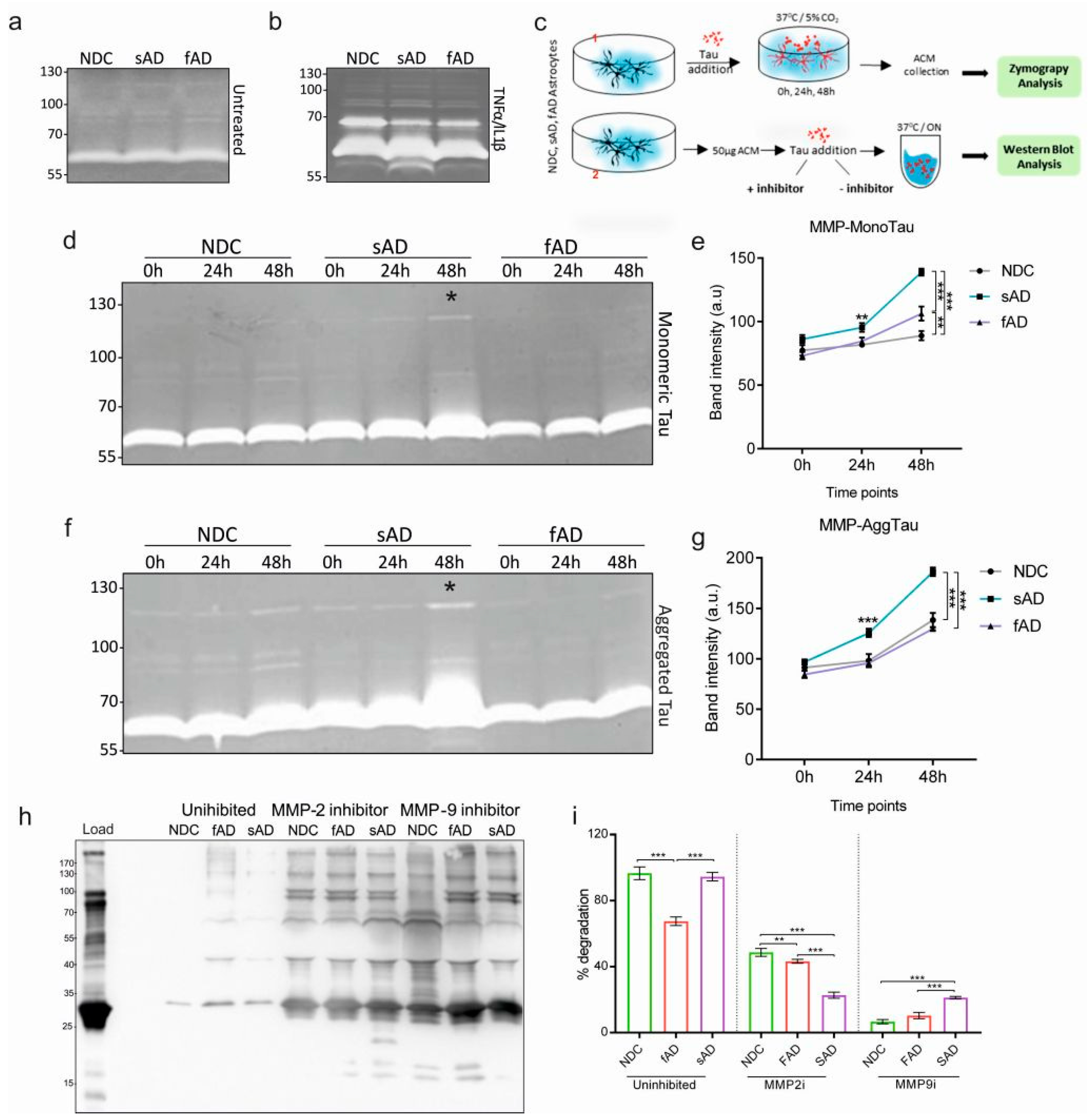 Cells 11 01429 g006 Cells 11 01429 g006
