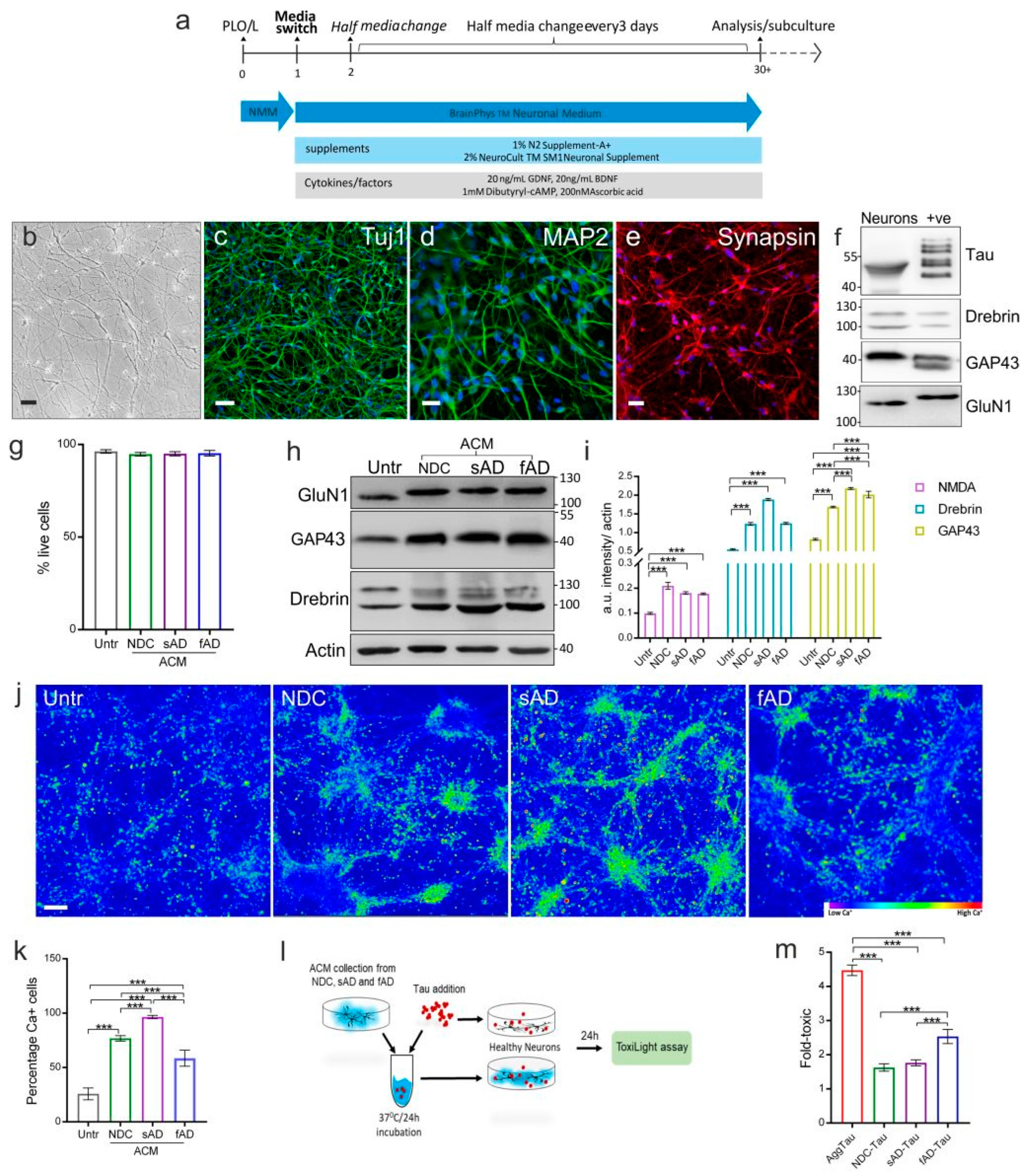 Cells 11 01429 g007 Cells 11 01429 g007