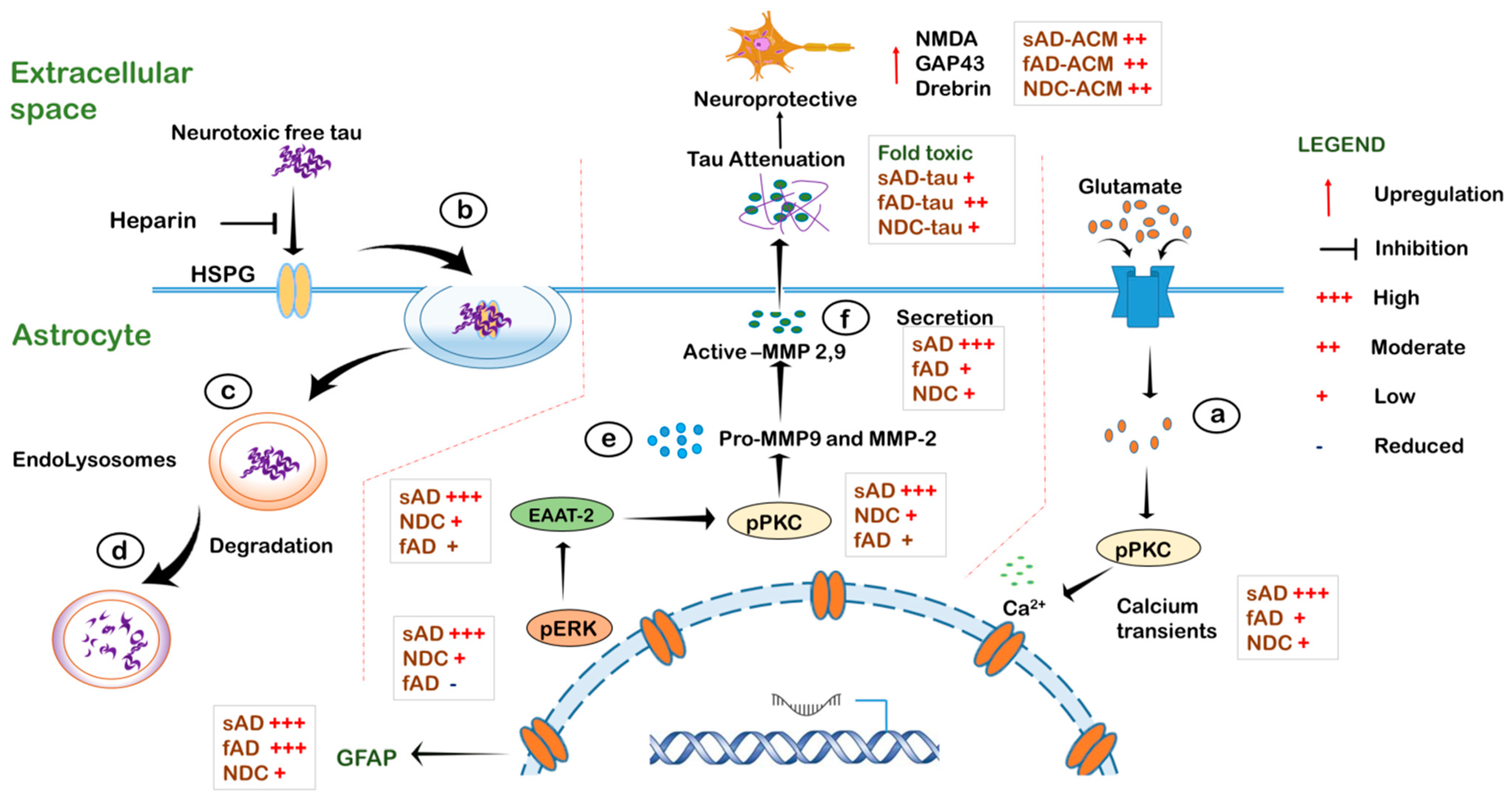Cells 11 01429 g008 Cells 11 01429 g008