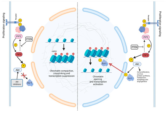 Moving beyond the Tip of the Iceberg: DJ-1 Implications in