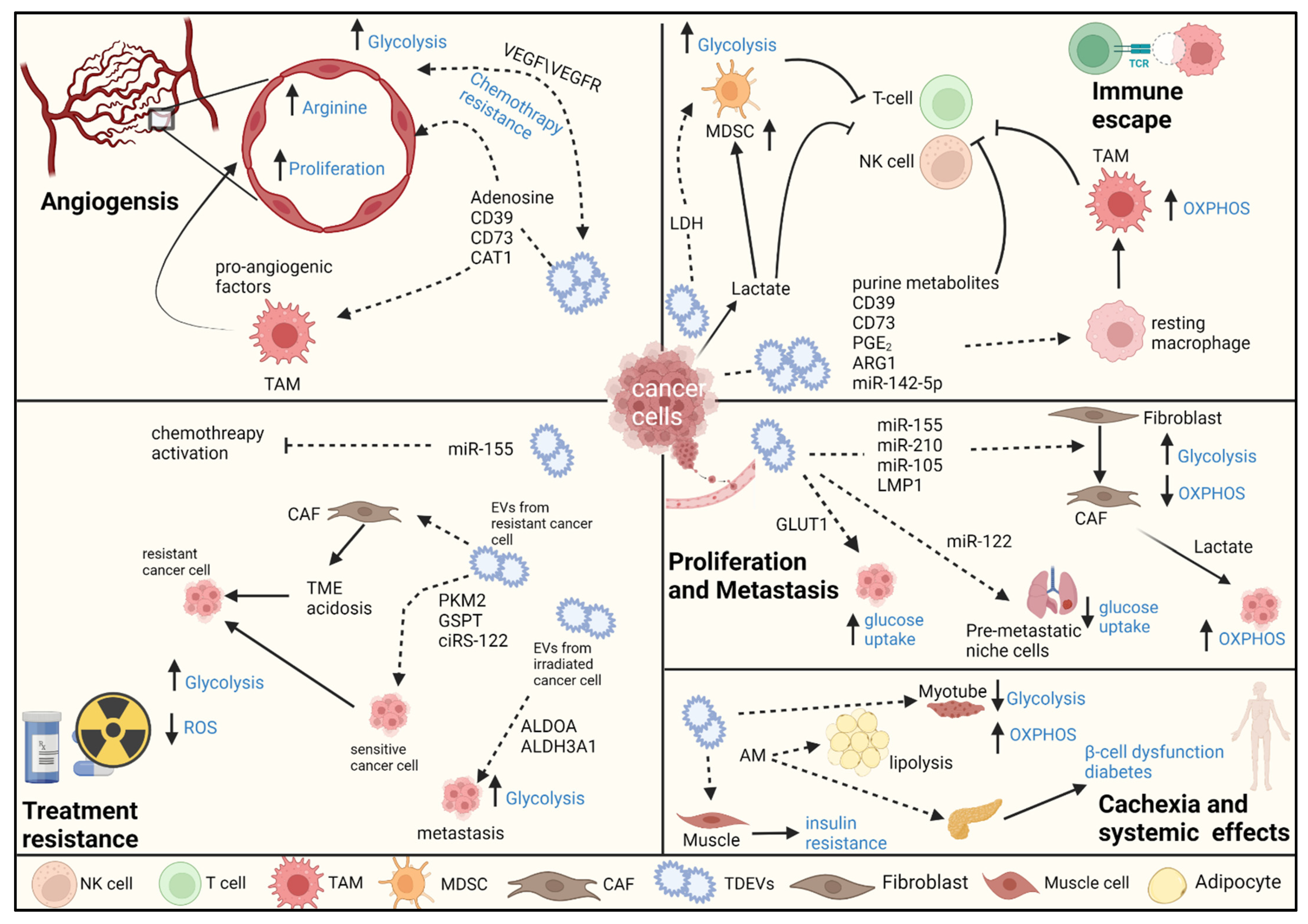 Cells 11 01433 g001 Cells 11 01433 g001