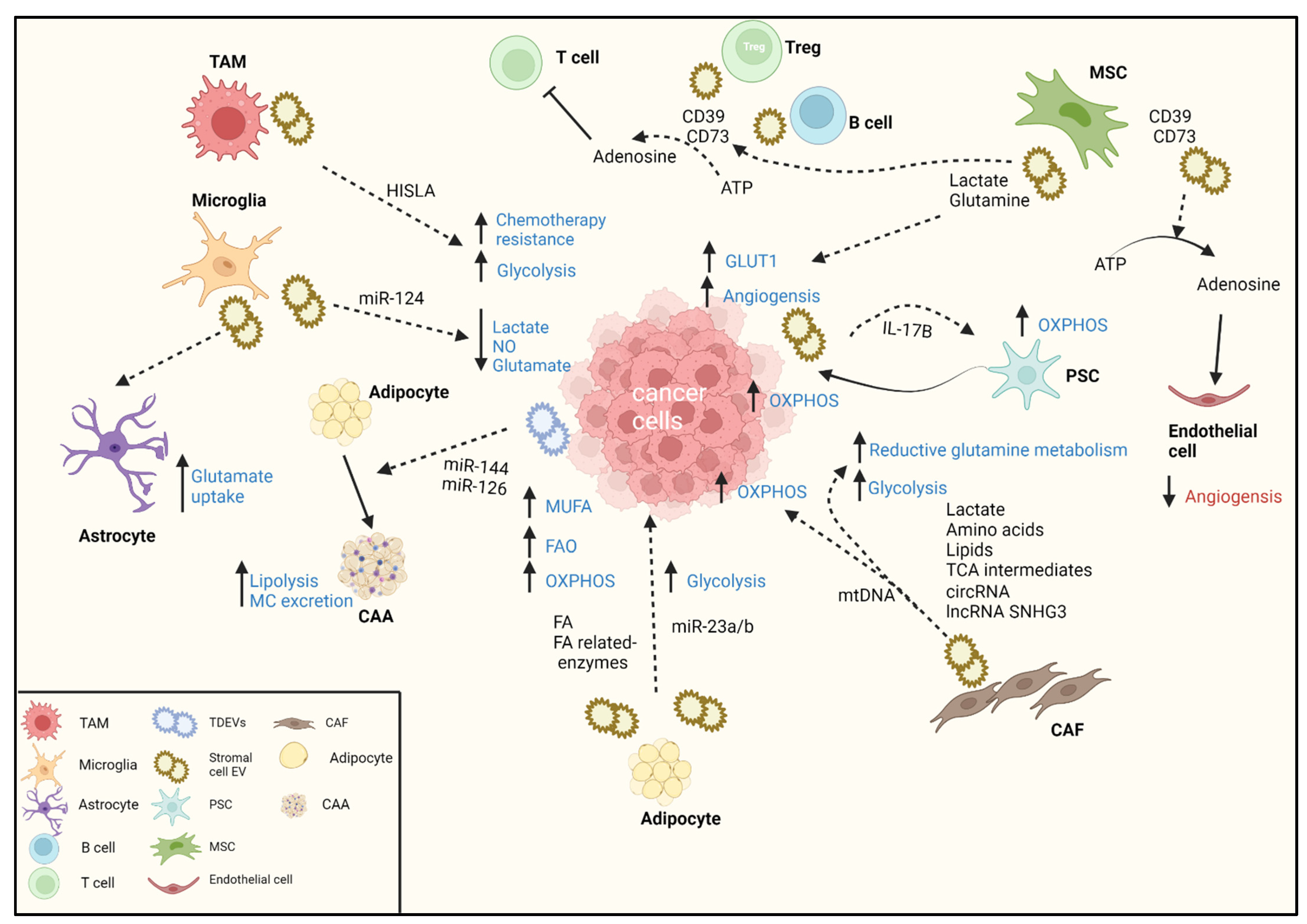 Cells 11 01433 g002 Cells 11 01433 g002