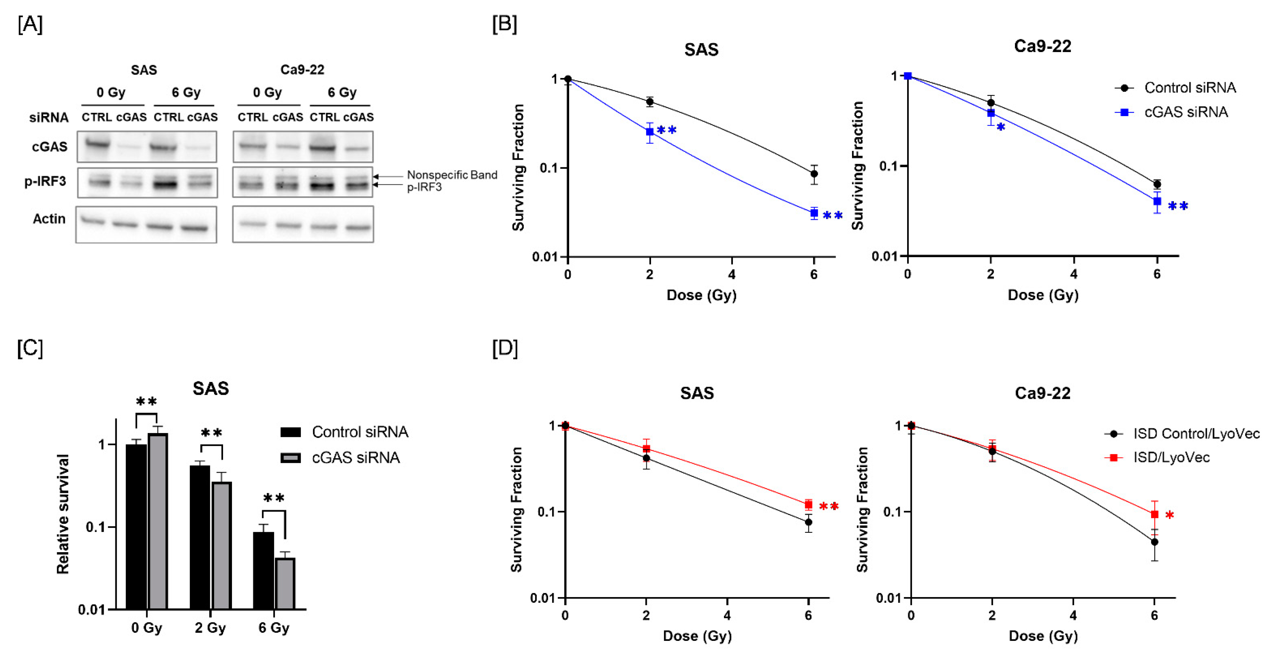 Cells 11 01434 g002 550