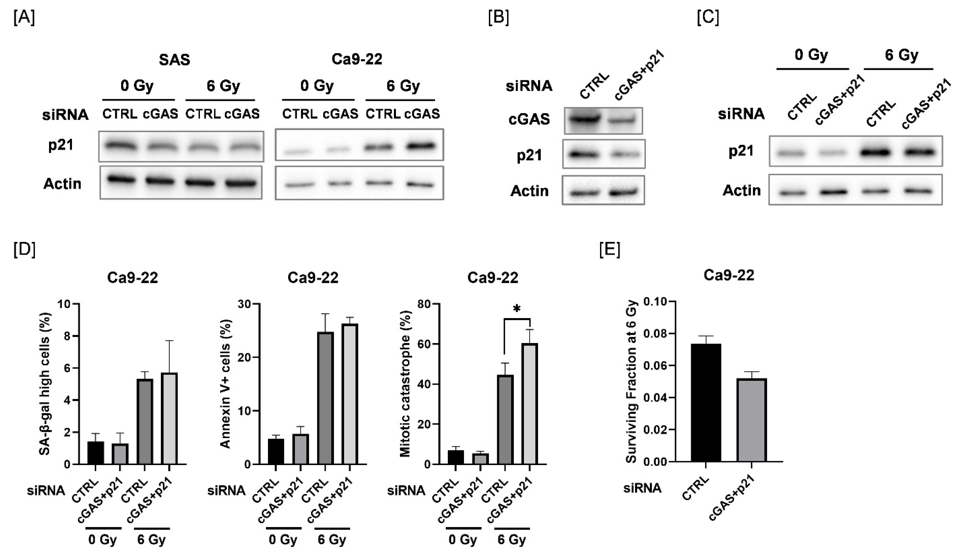 Cells 11 01434 g005 550