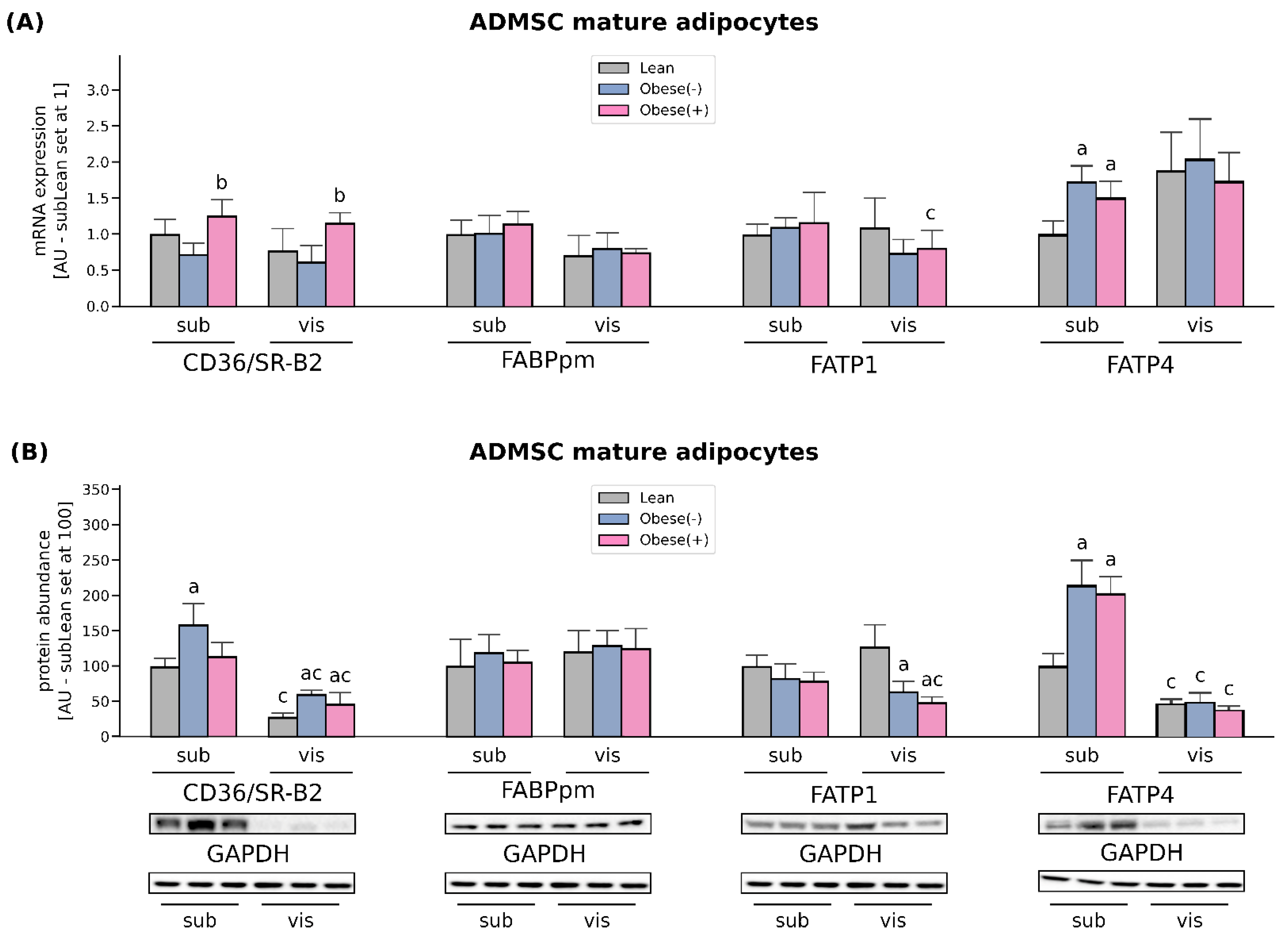 Cells 11 01435 g003 Cells 11 01435 g003