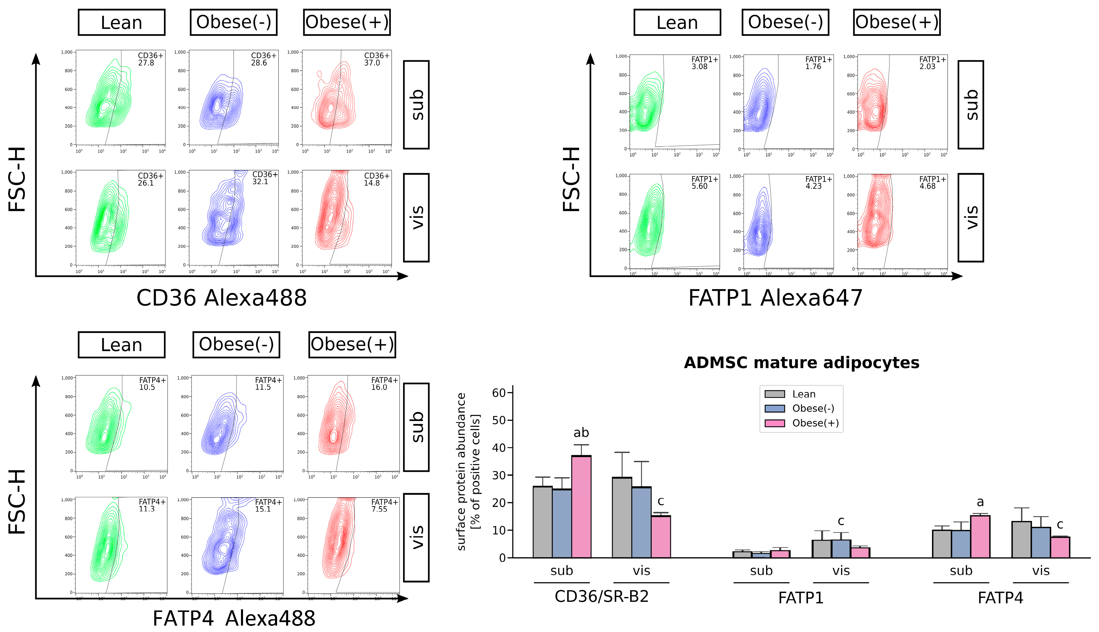 Cells 11 01435 g004 Cells 11 01435 g004