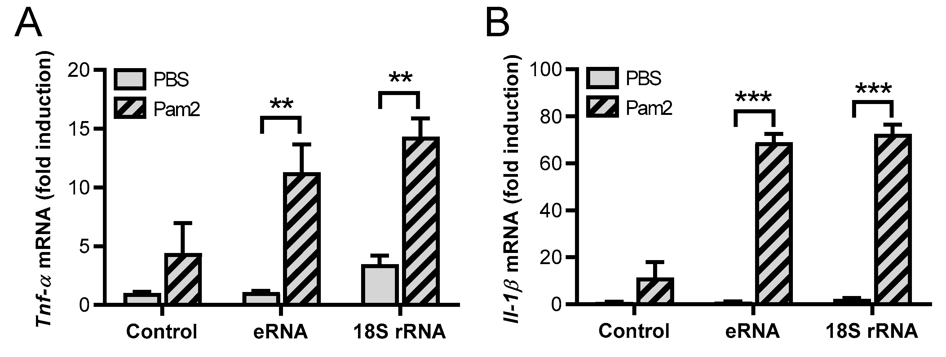 Cells 11 01440 g001a