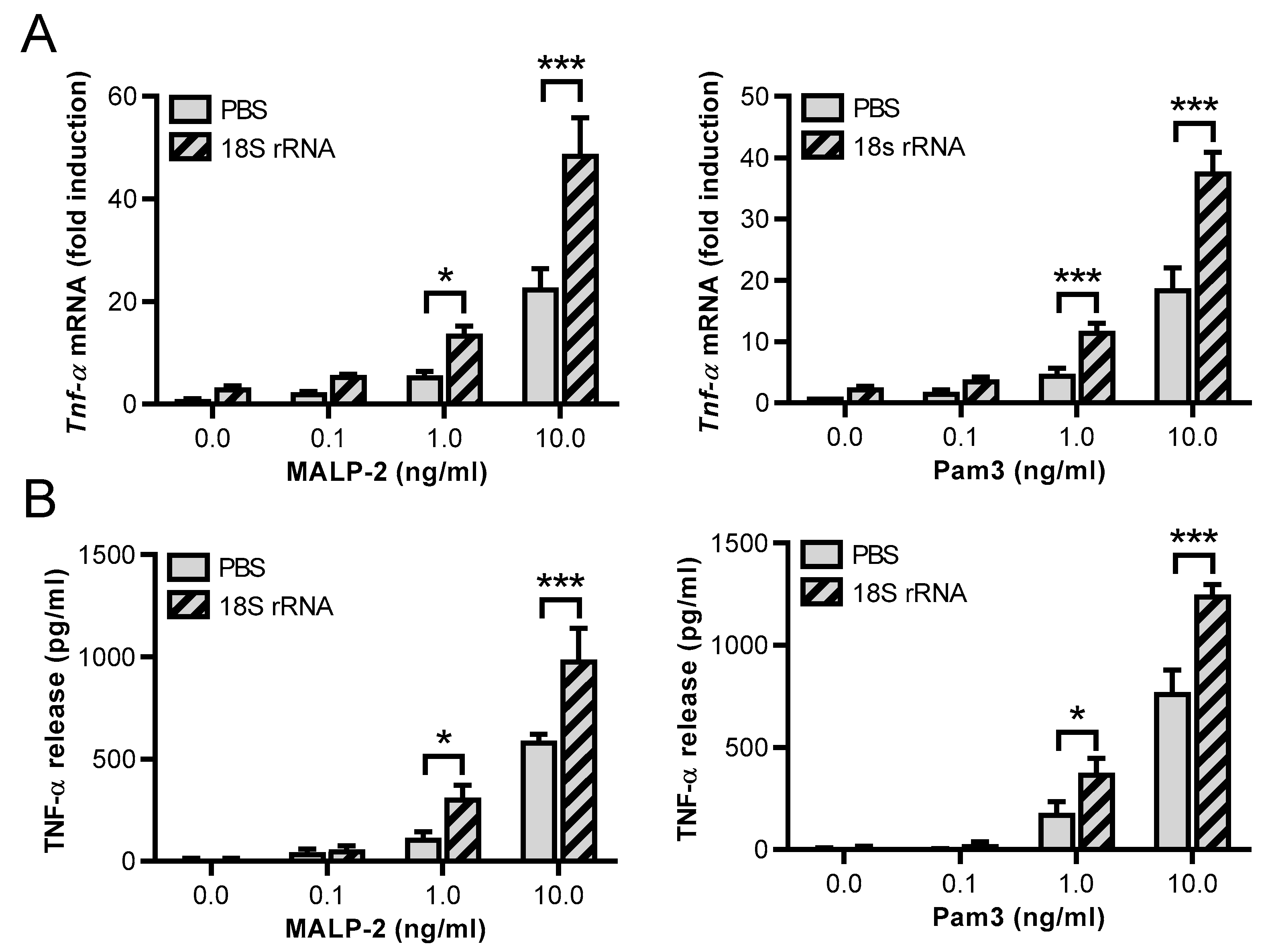 Cells 11 01440 g003a