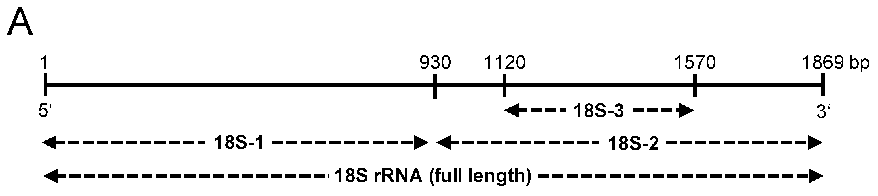 Cells 11 01440 g005a