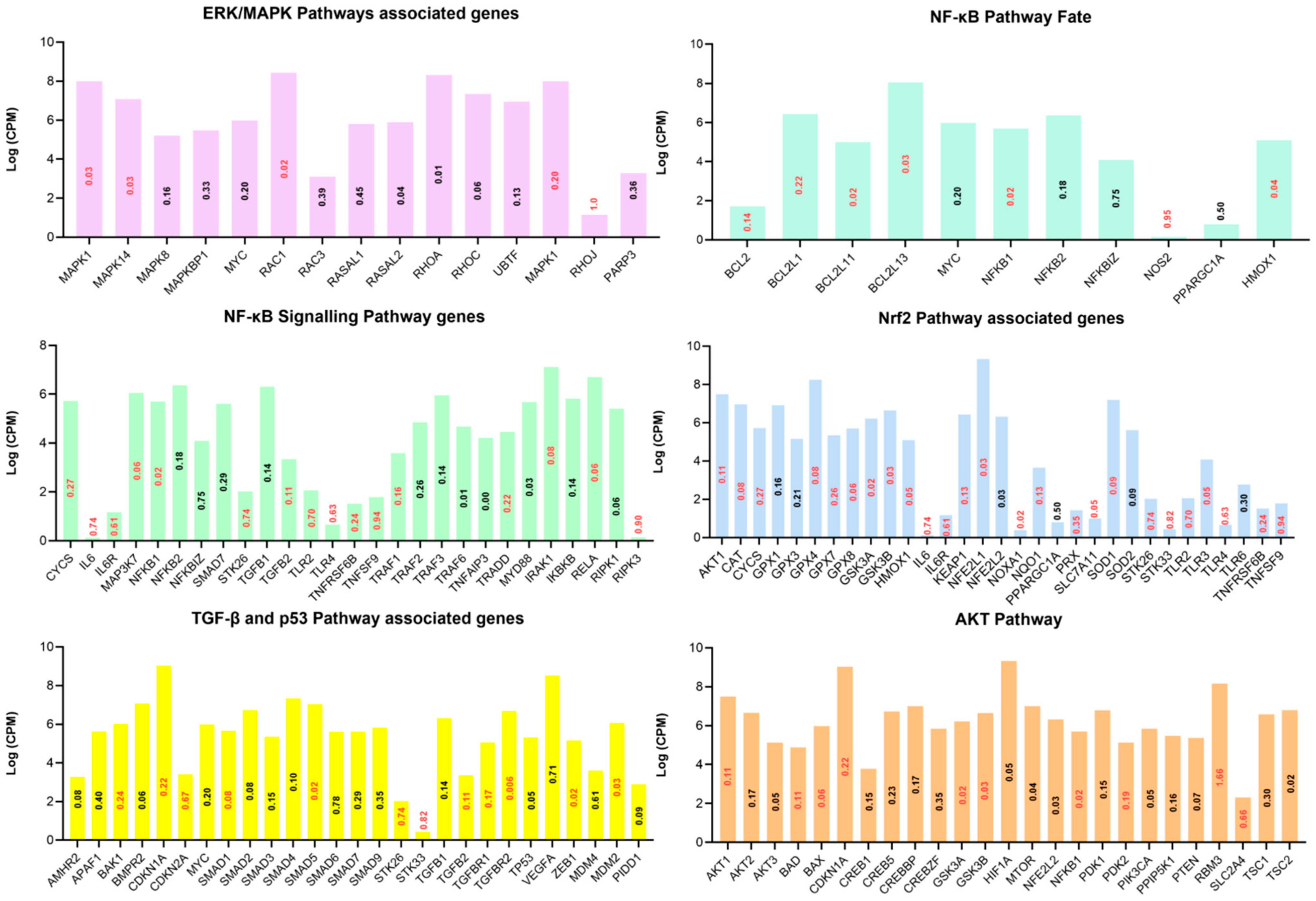Cells 11 01443 g005 550