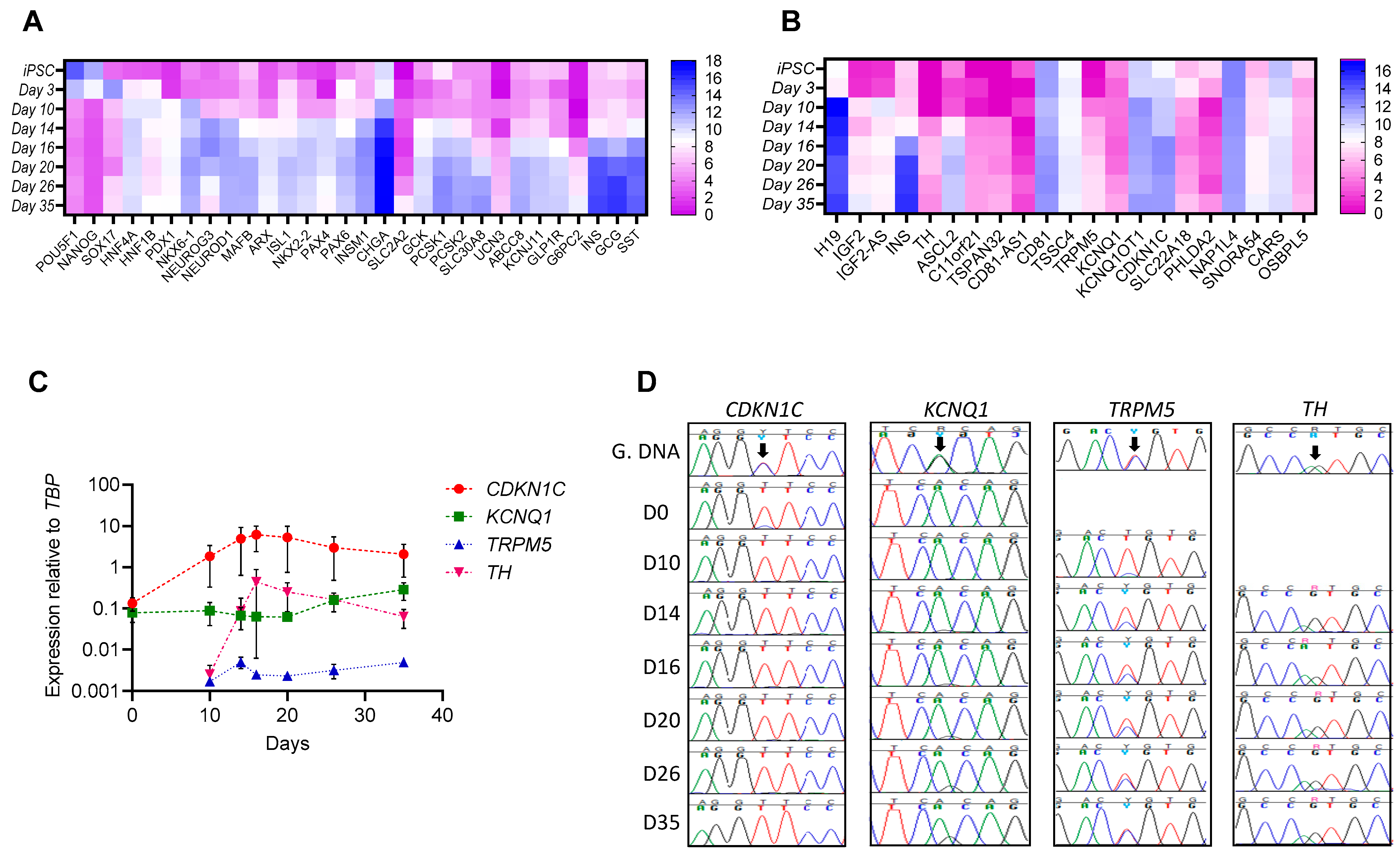 Cells 11 01446 g001 Cells 11 01446 g001