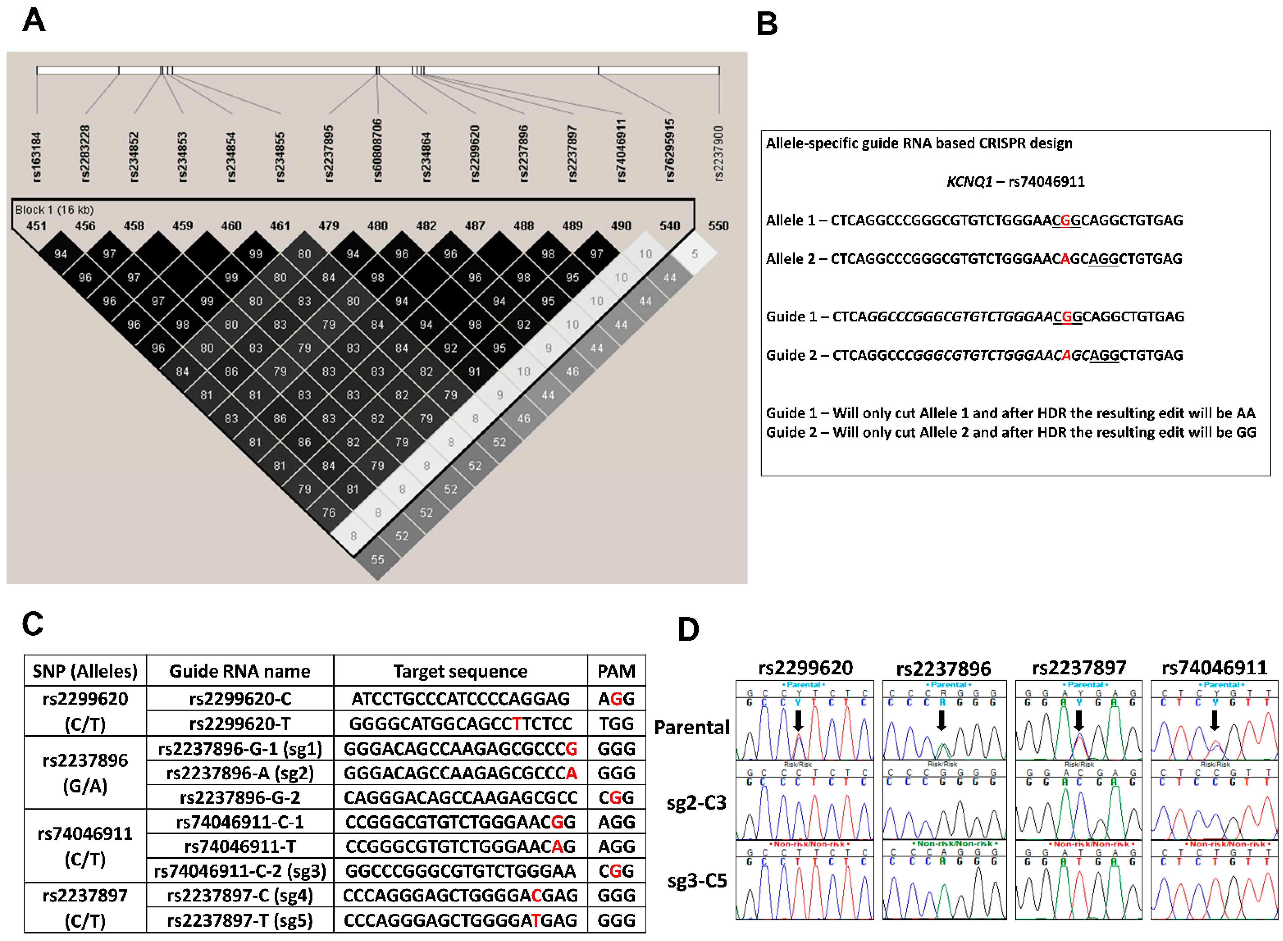 Cells 11 01446 g002 Cells 11 01446 g002