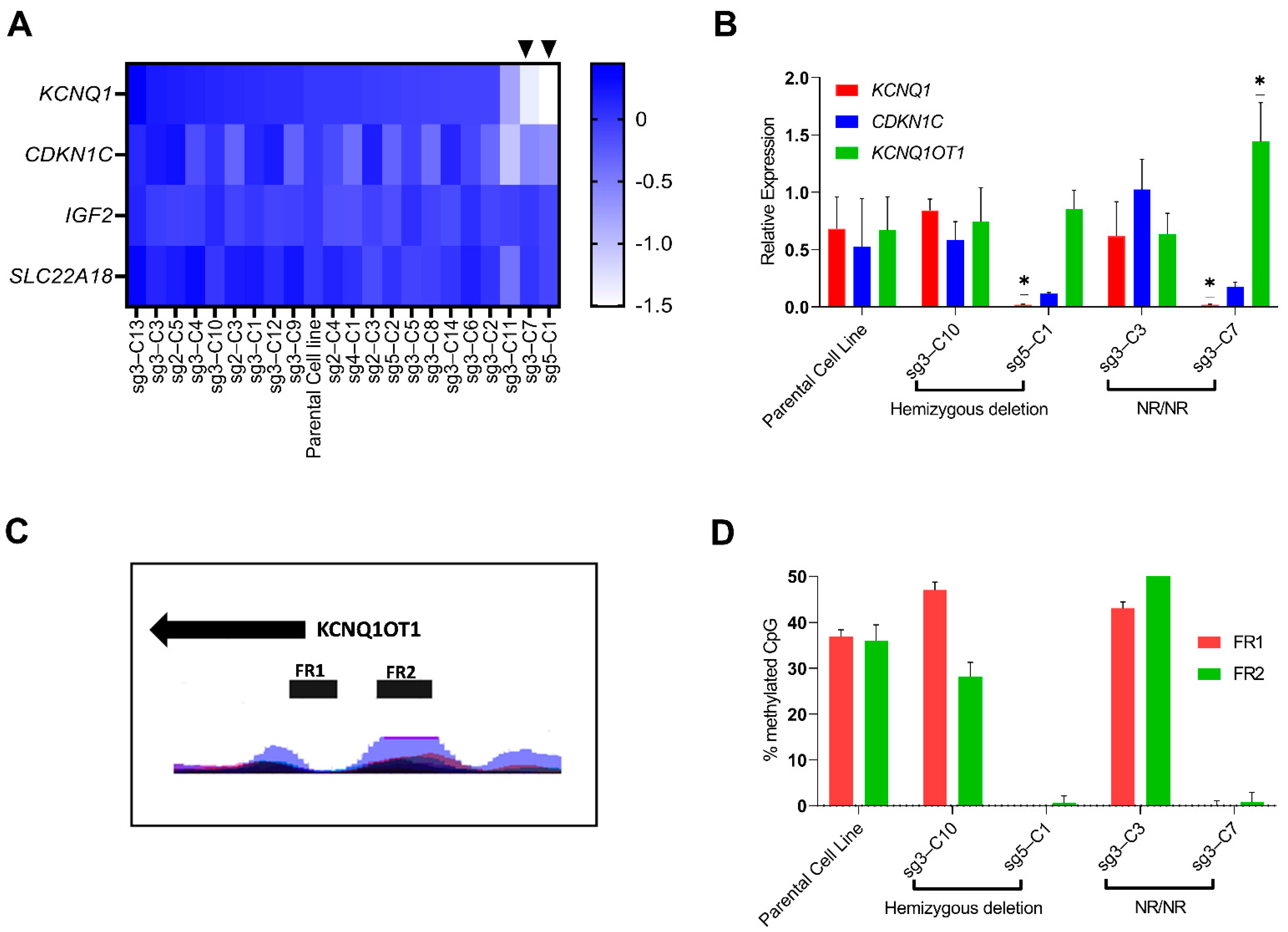 Cells 11 01446 g004 Cells 11 01446 g004
