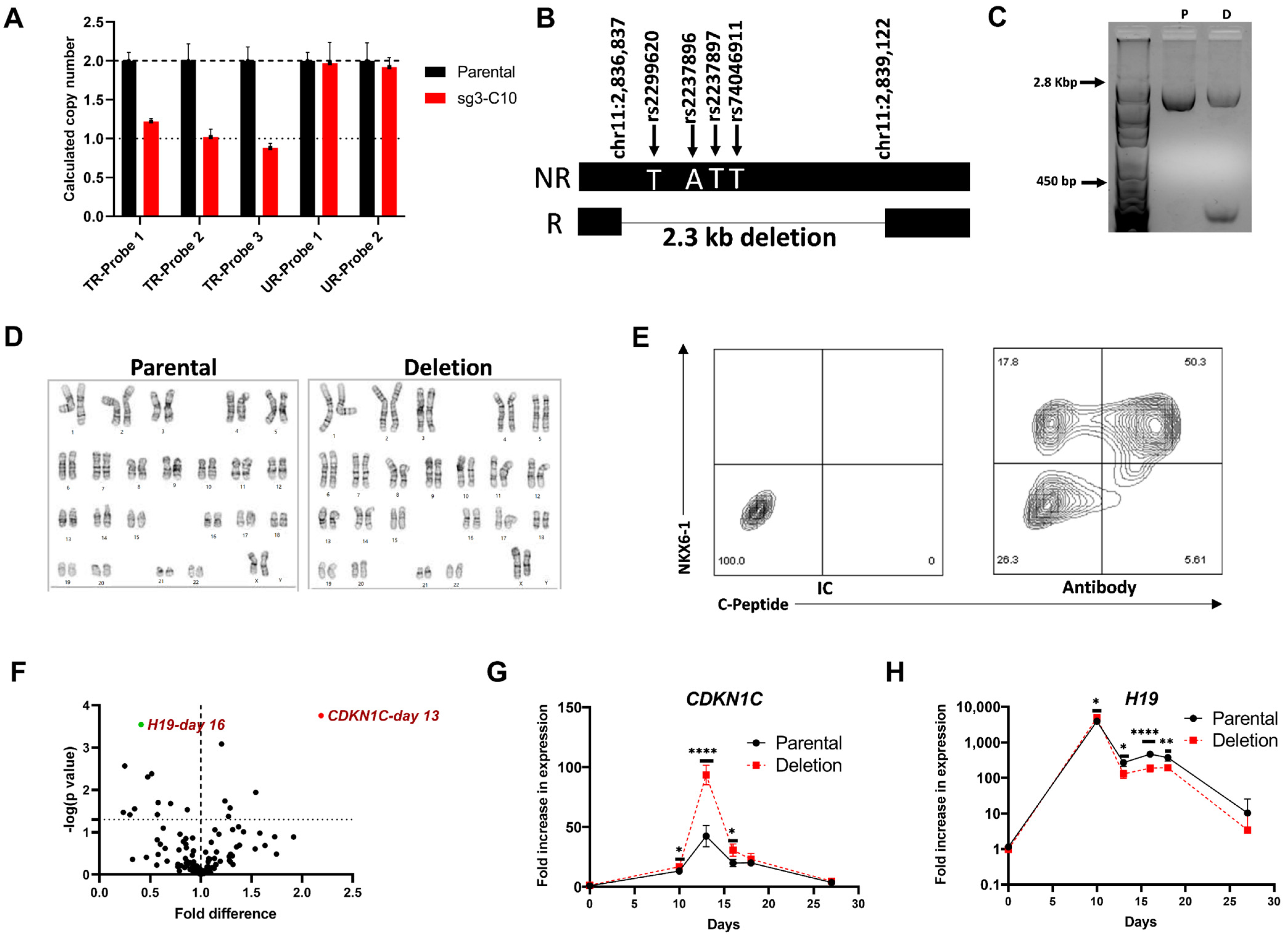 Cells 11 01446 g005 Cells 11 01446 g005