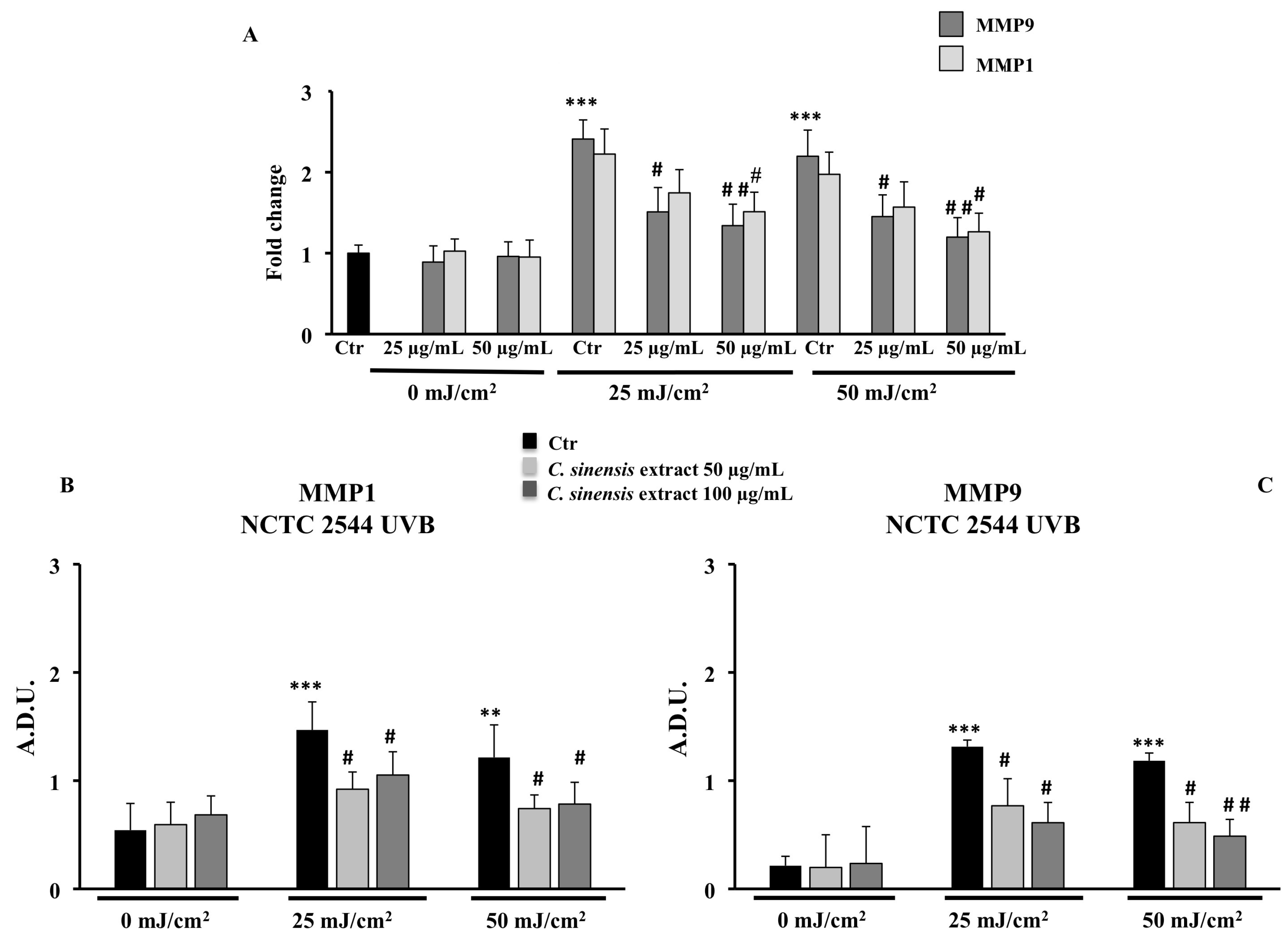 Cells 11 01447 g009a Cells 11 01447 g009a
